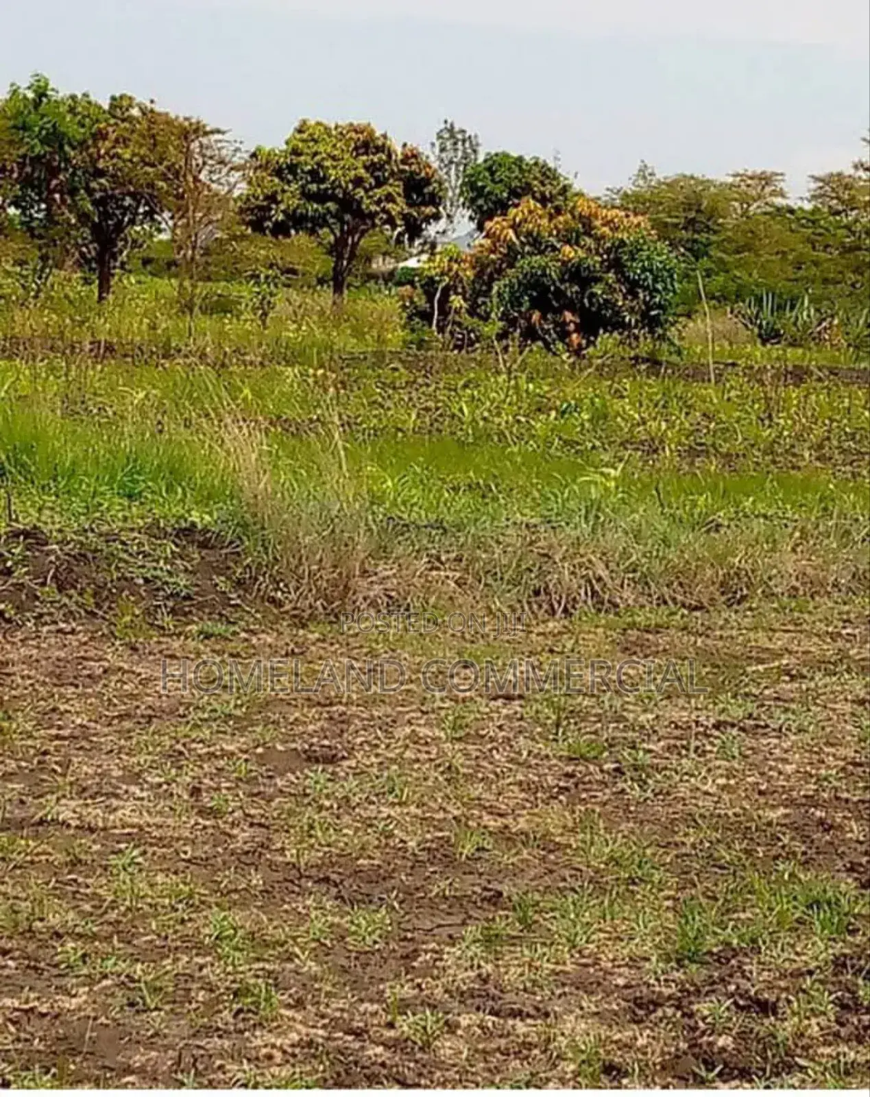 Land for Sale in Kiserian 3 Acres Selling as a Block. in Kiserian