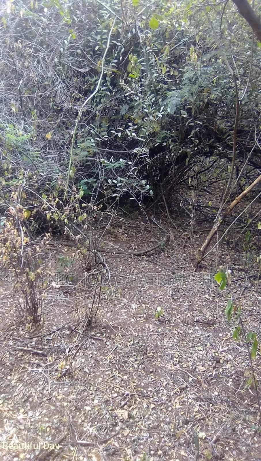 100 Acres Kitui Kanziku Selling at .Pee Acre in Mutomo