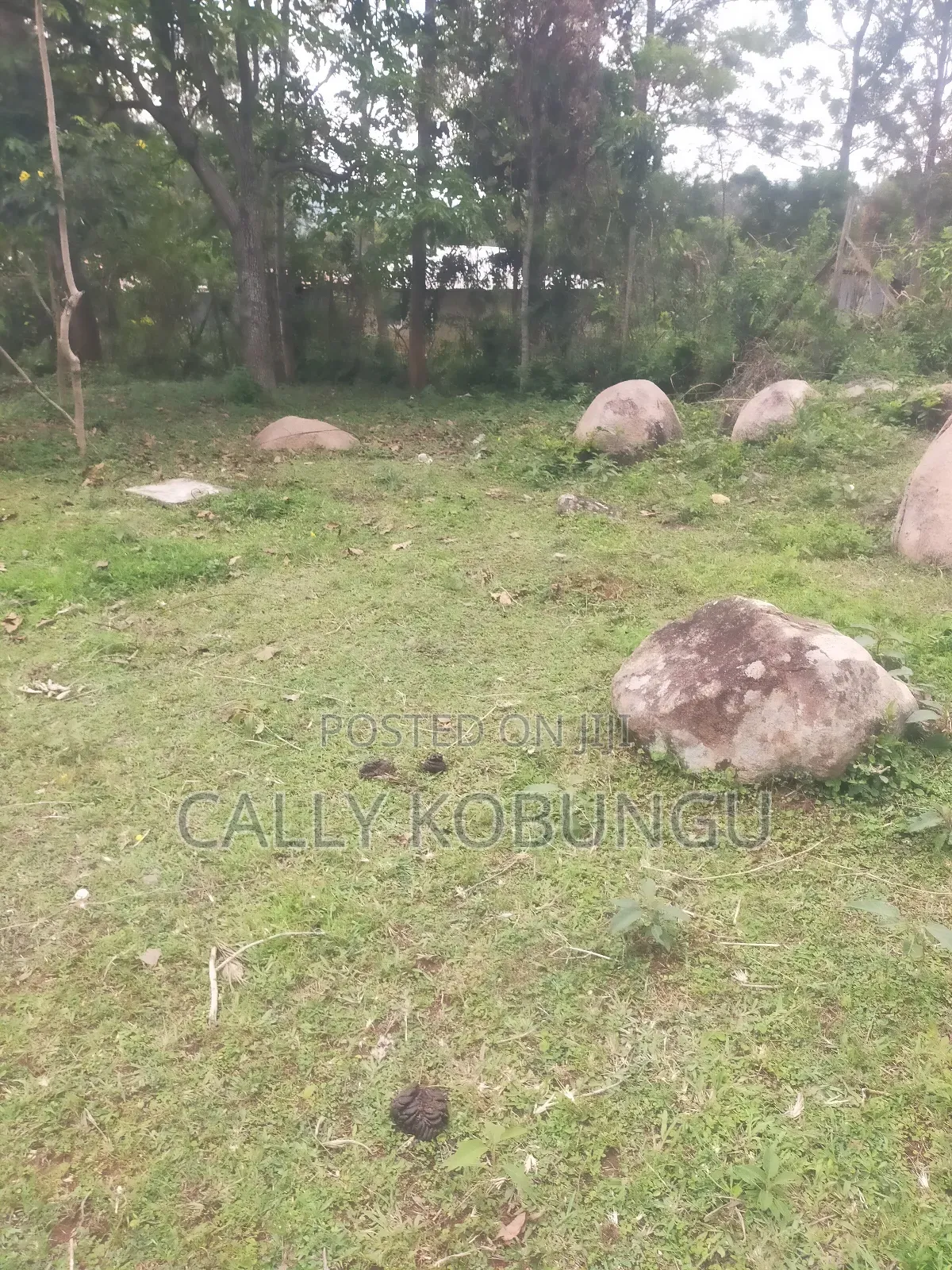 0.2 Land in Daraja Mbili in Daraja Mbili