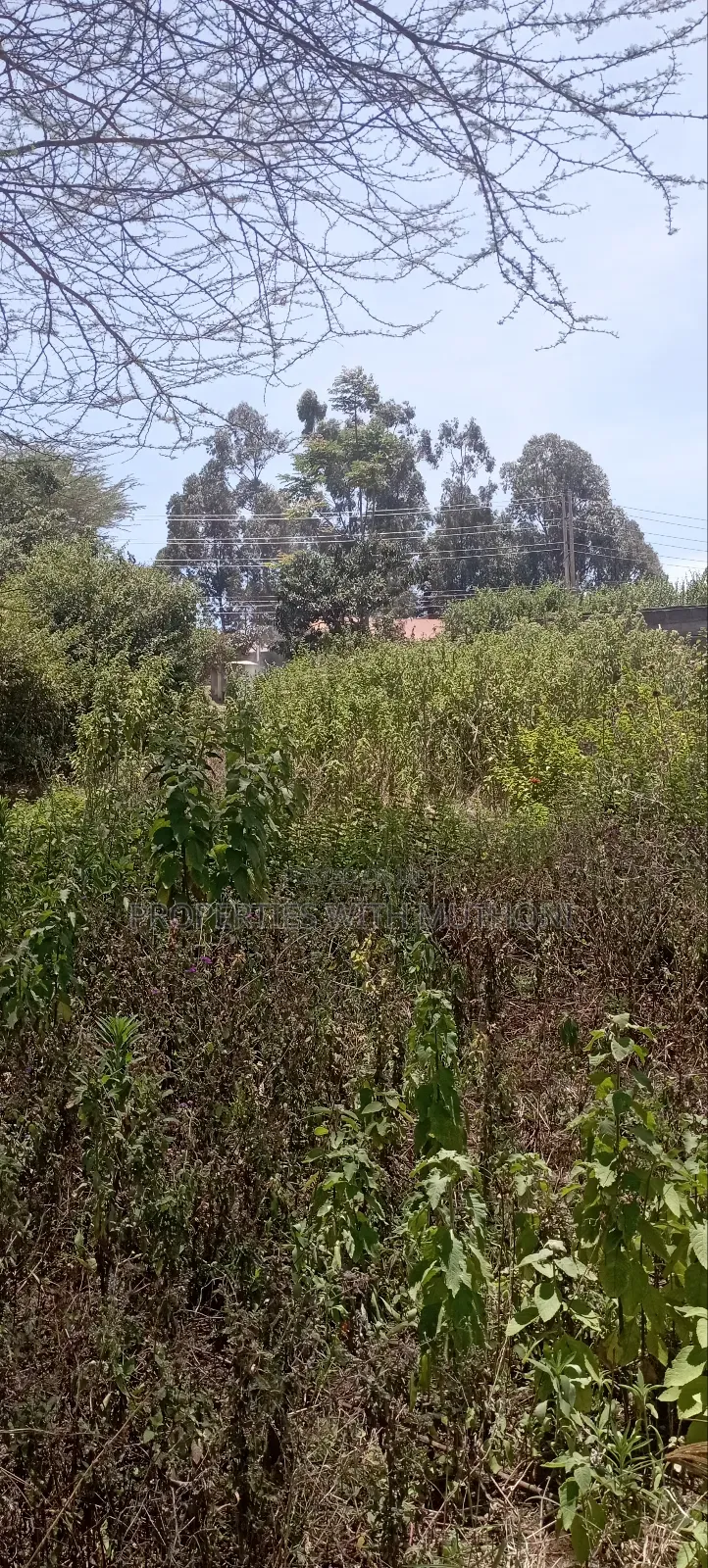 50×100 Plot for Sale in Kibiko, Ngong. in Kibiku