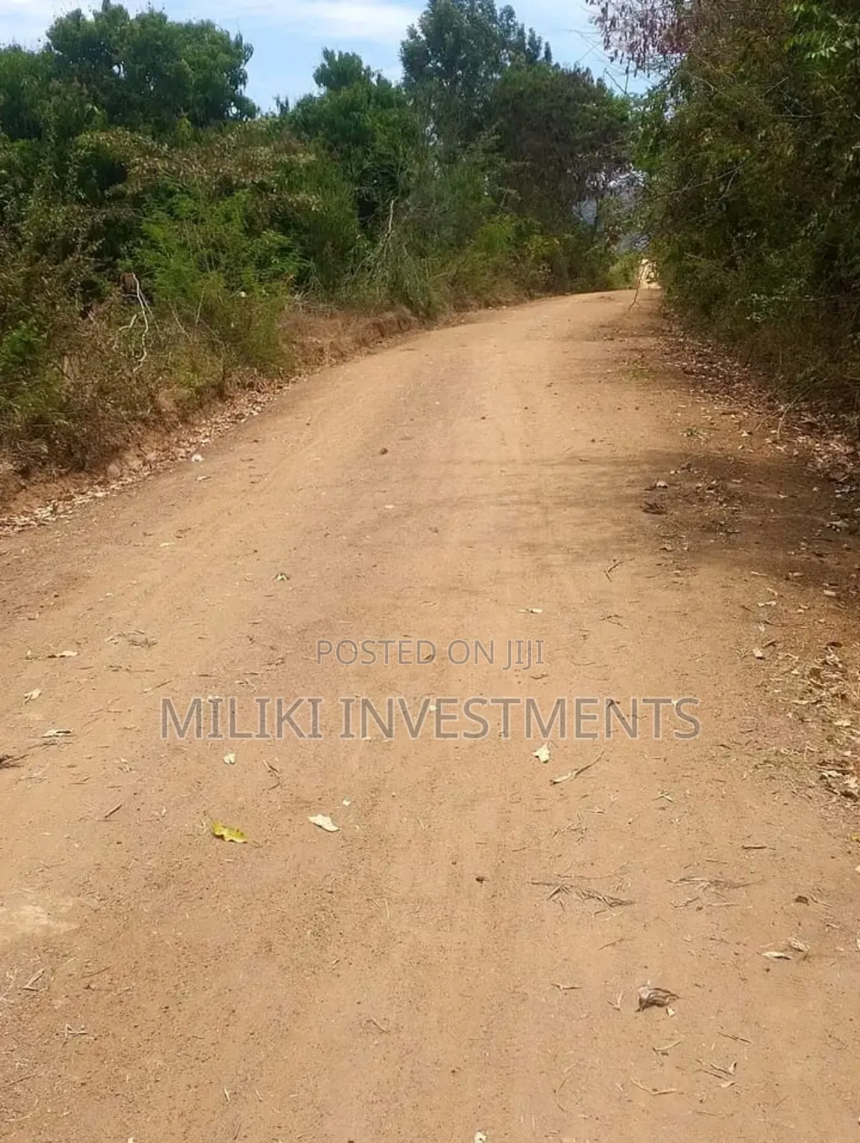 2 Acres Land O N Sale at Makuyu -Mithiini in Makuyu
