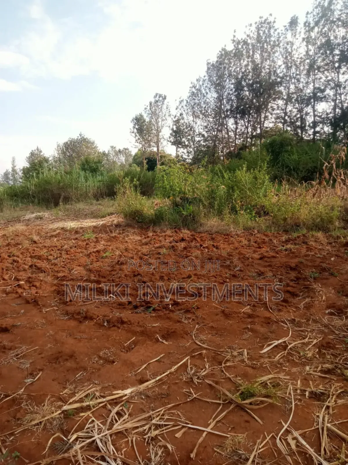 2 Acres on Sale at Maragua-Summar Area in Ichagaki
