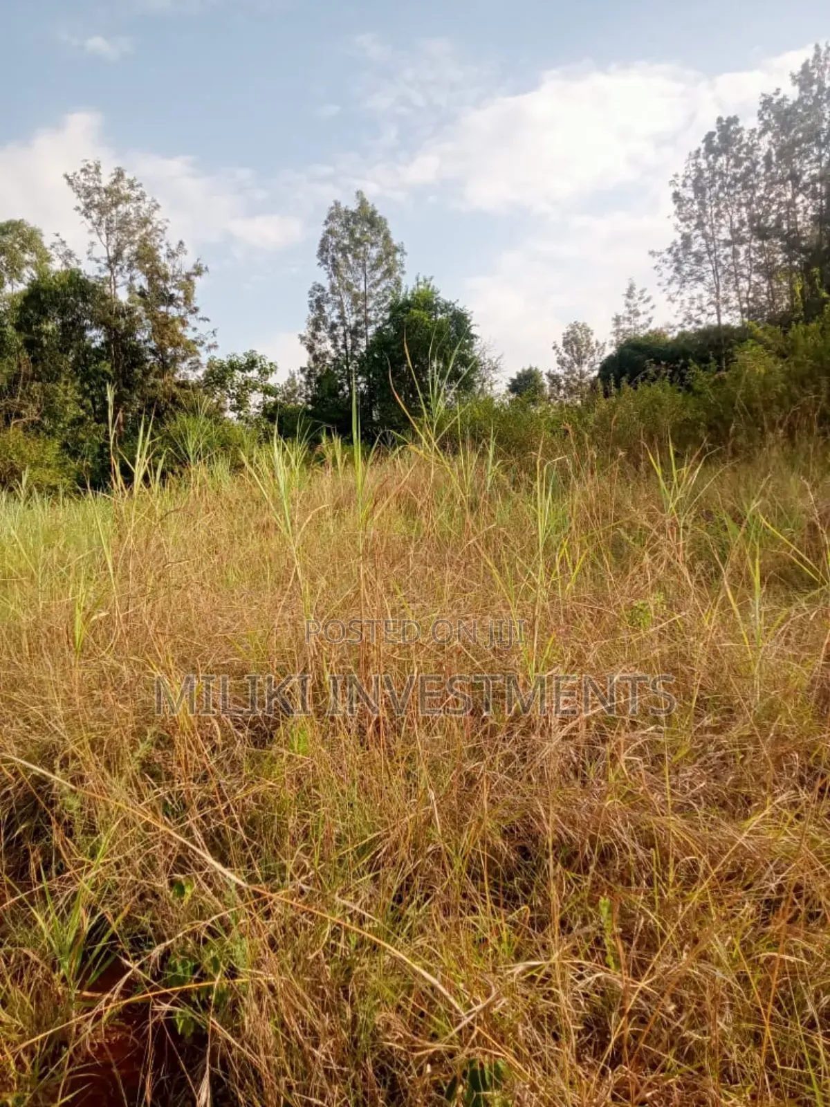 2 Acres on Sale at Maragua-Summar Area in Ichagaki