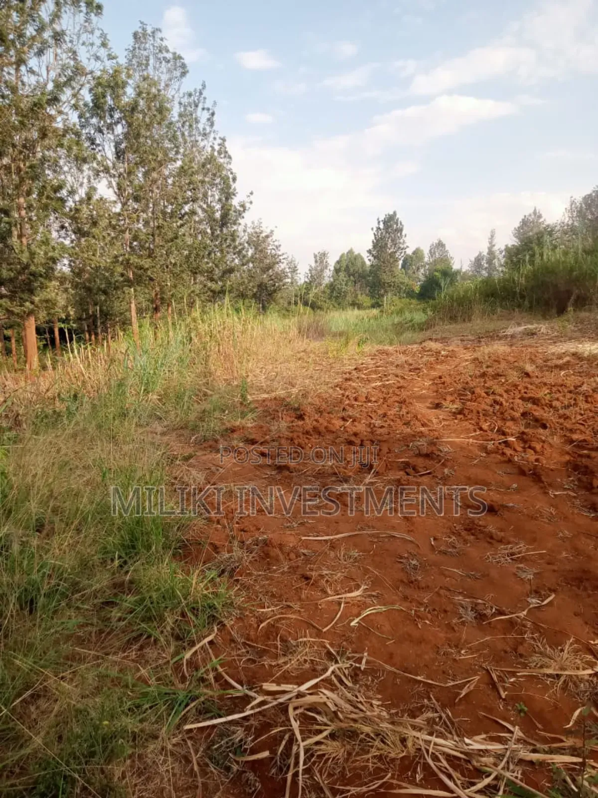 2 Acres on Sale at Maragua-Summar Area in Ichagaki