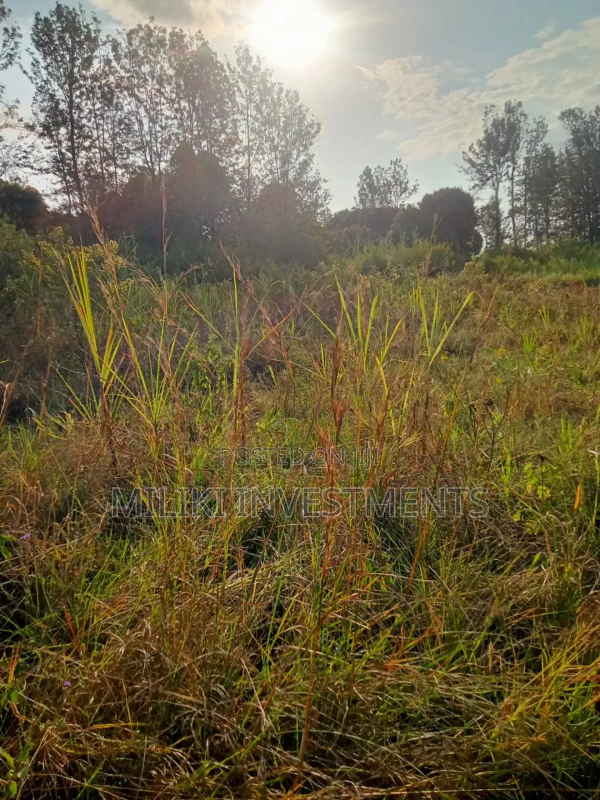 2 Acres on Sale at Maragua-Summar Area in Ichagaki