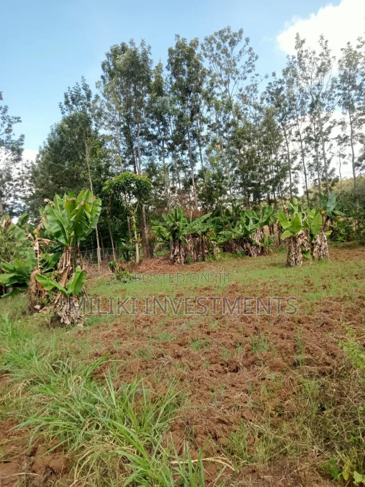 One Acre Land on at Summary -Maragua in Ichagaki