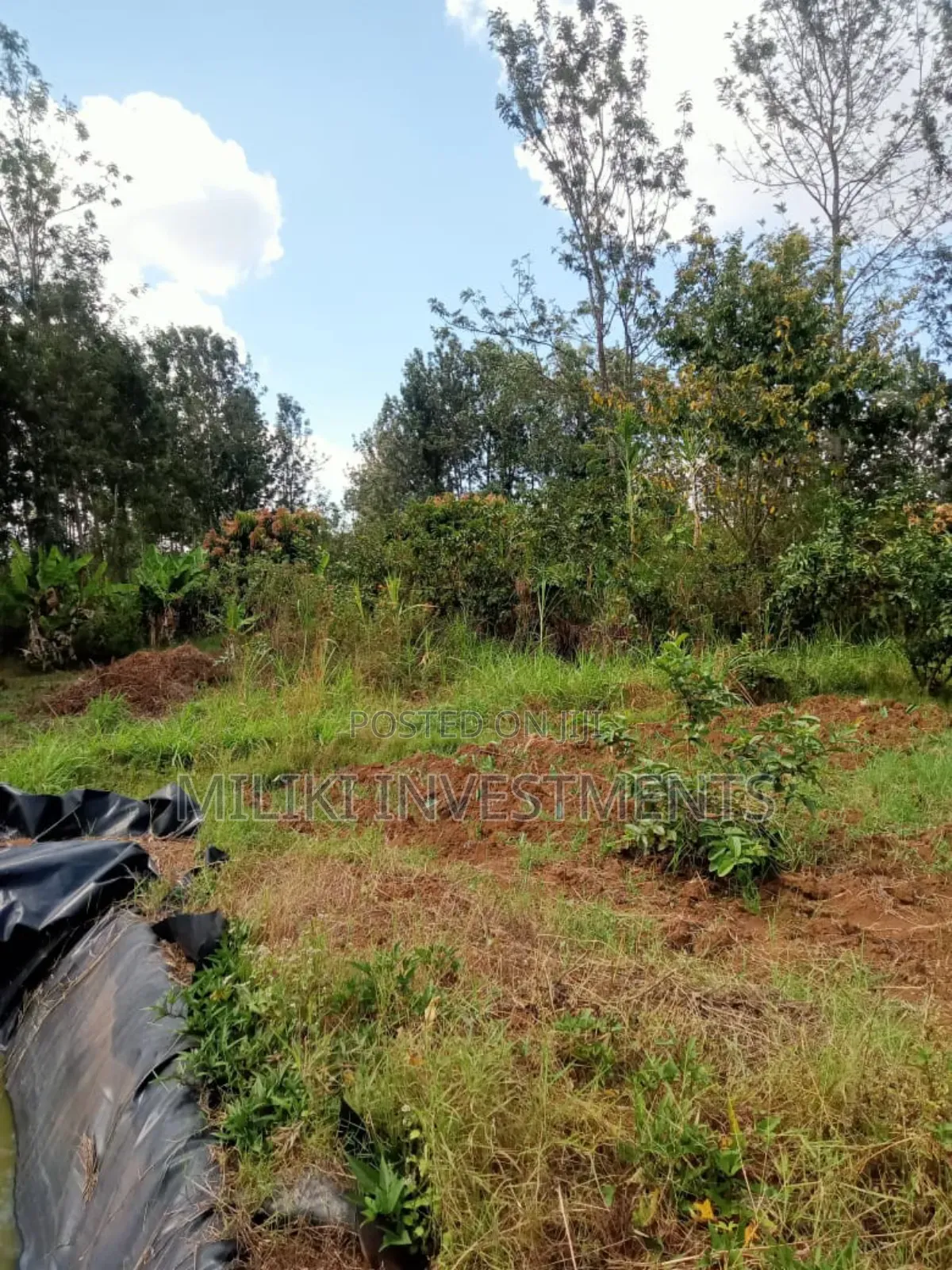 One Acre Land on at Summary -Maragua in Ichagaki