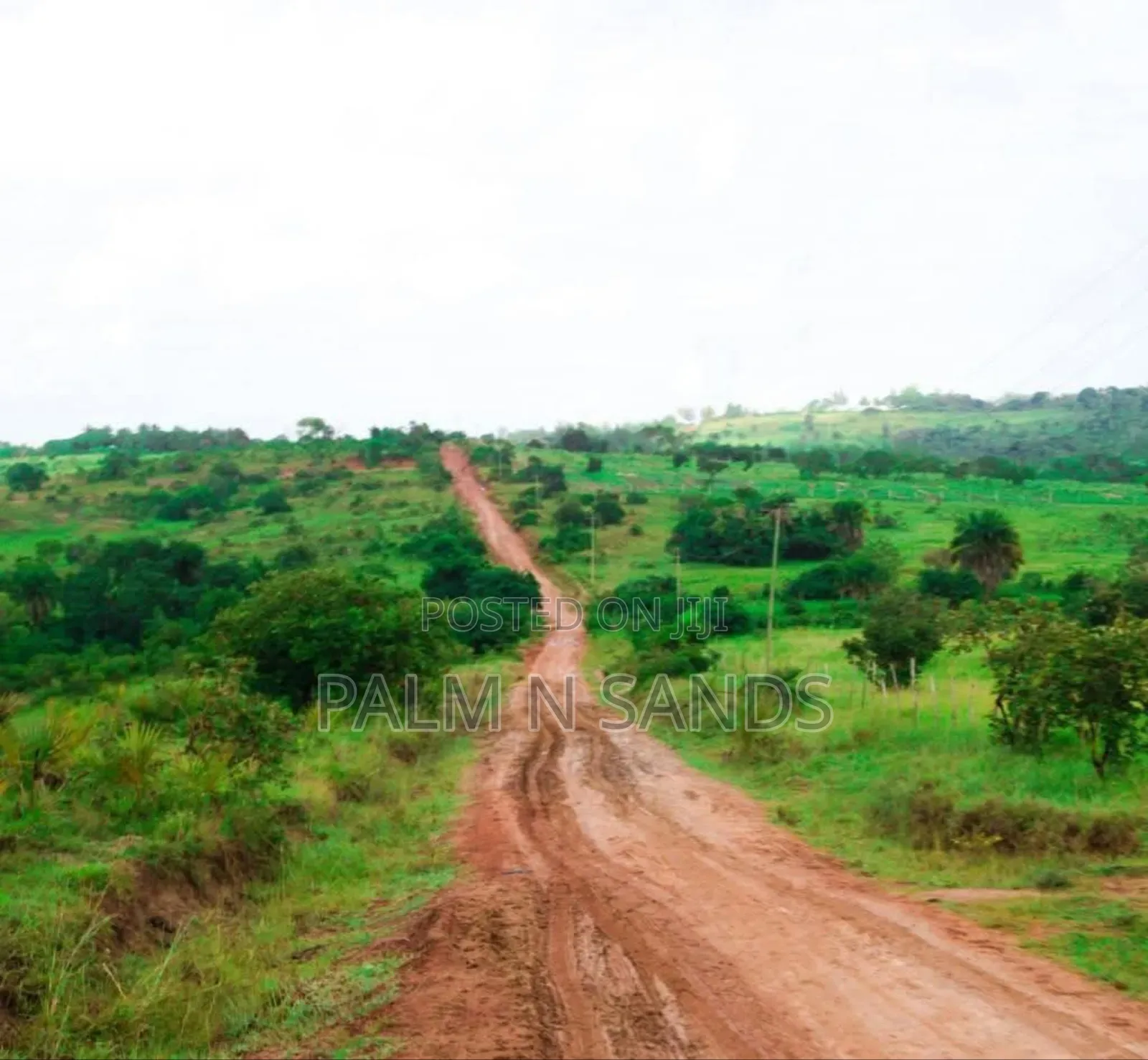 31 Acres in Shimba Hills on Sale in Diani