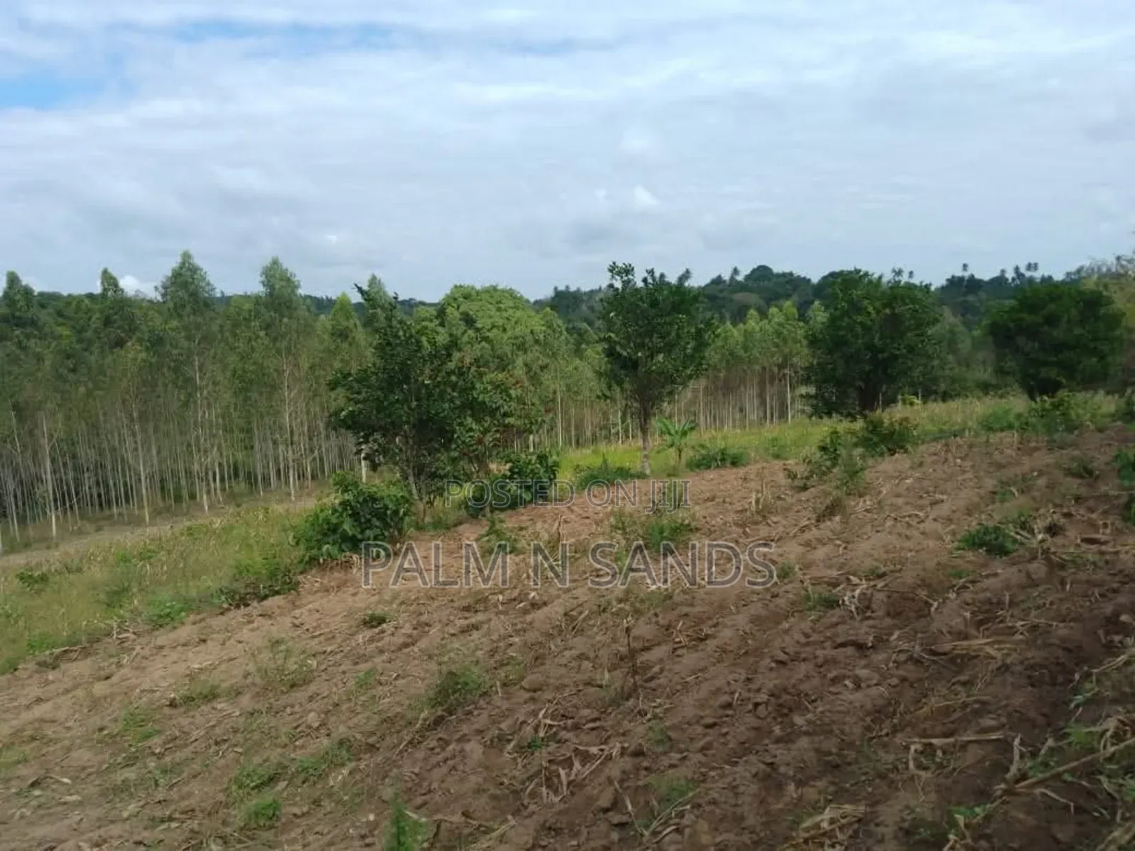31 Acres in Shimba Hills on Sale in Diani