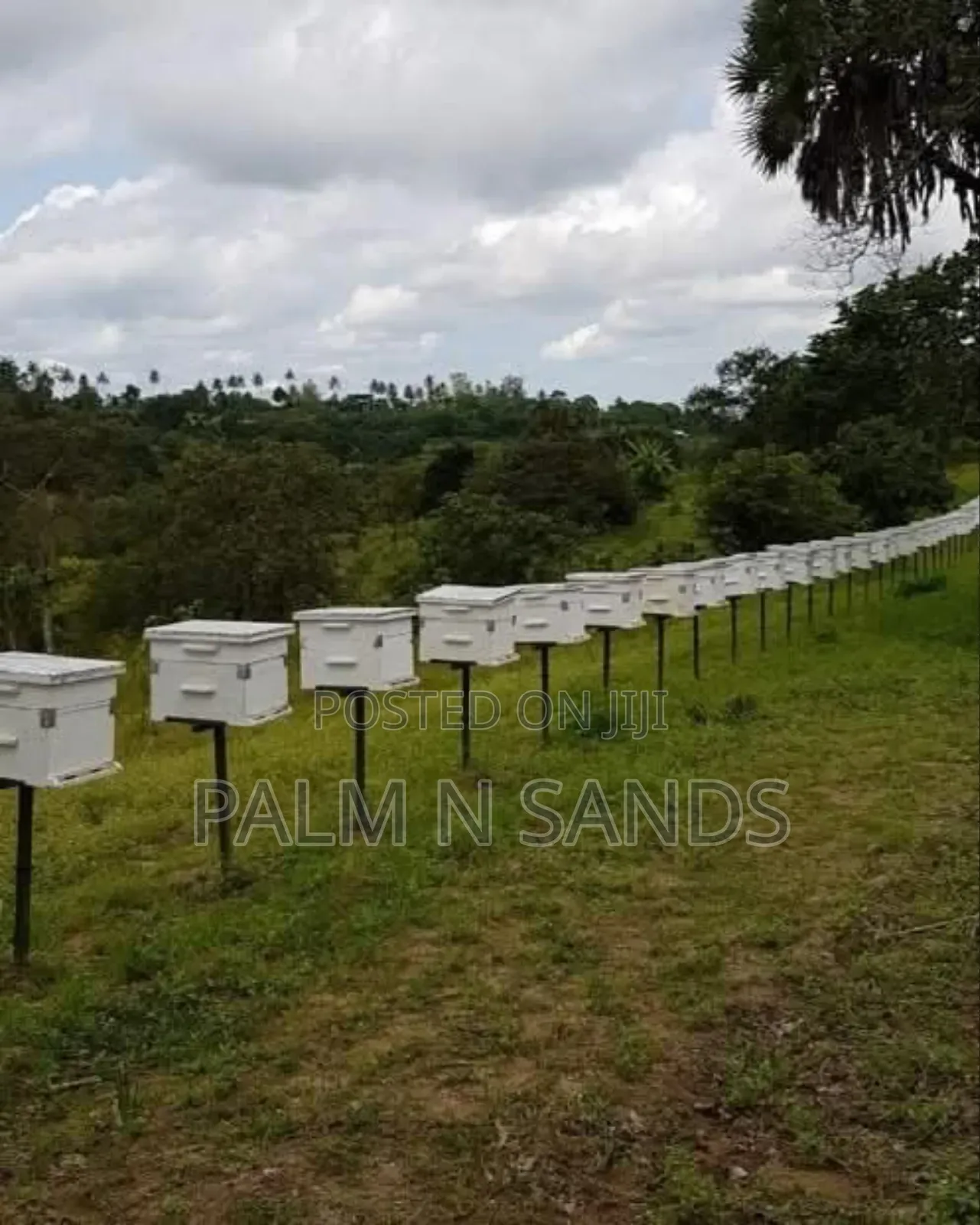 31 Acres in Shimba Hills on Sale in Diani