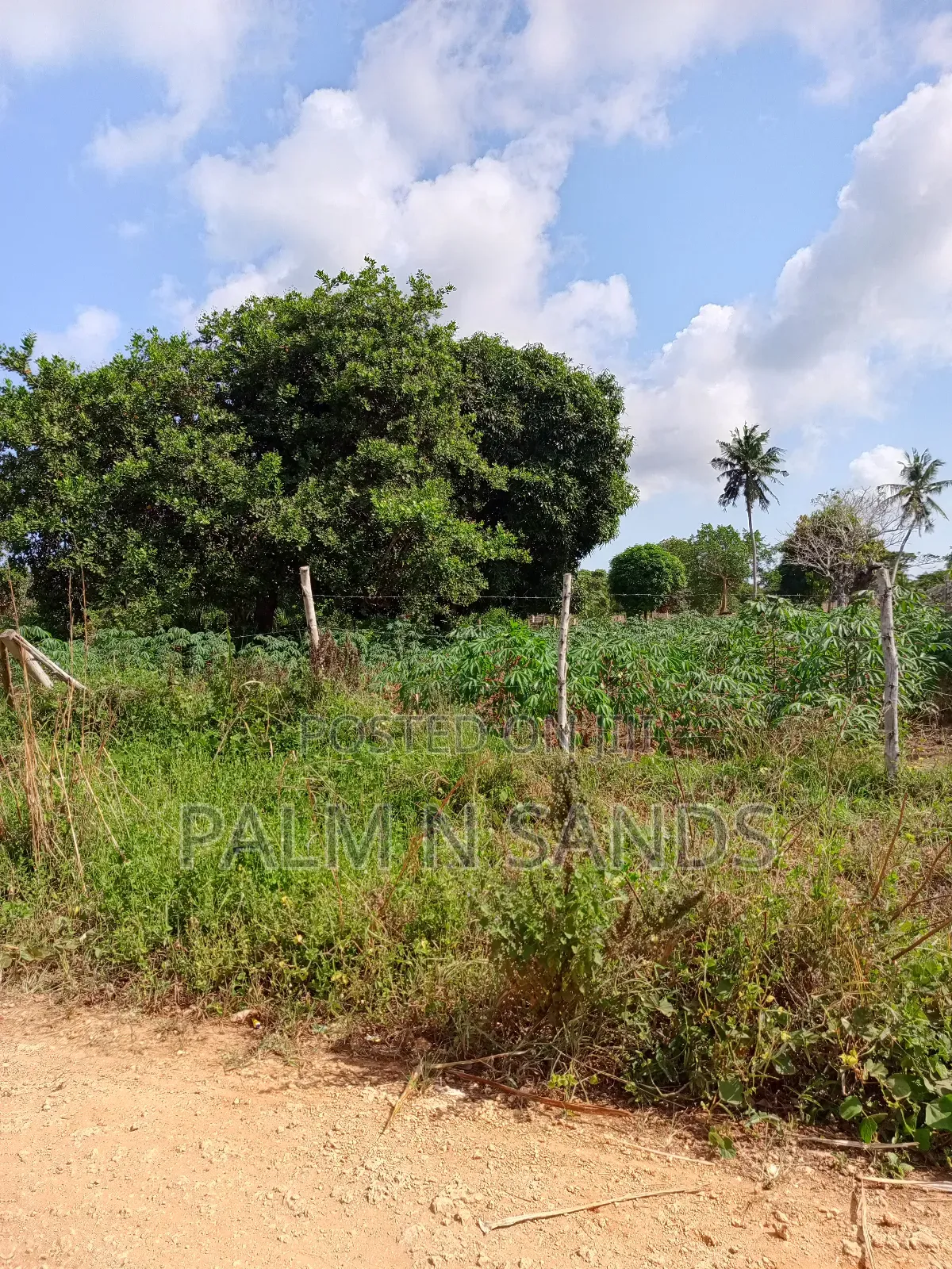 1/4 Acre on Sale in Diani in Diani