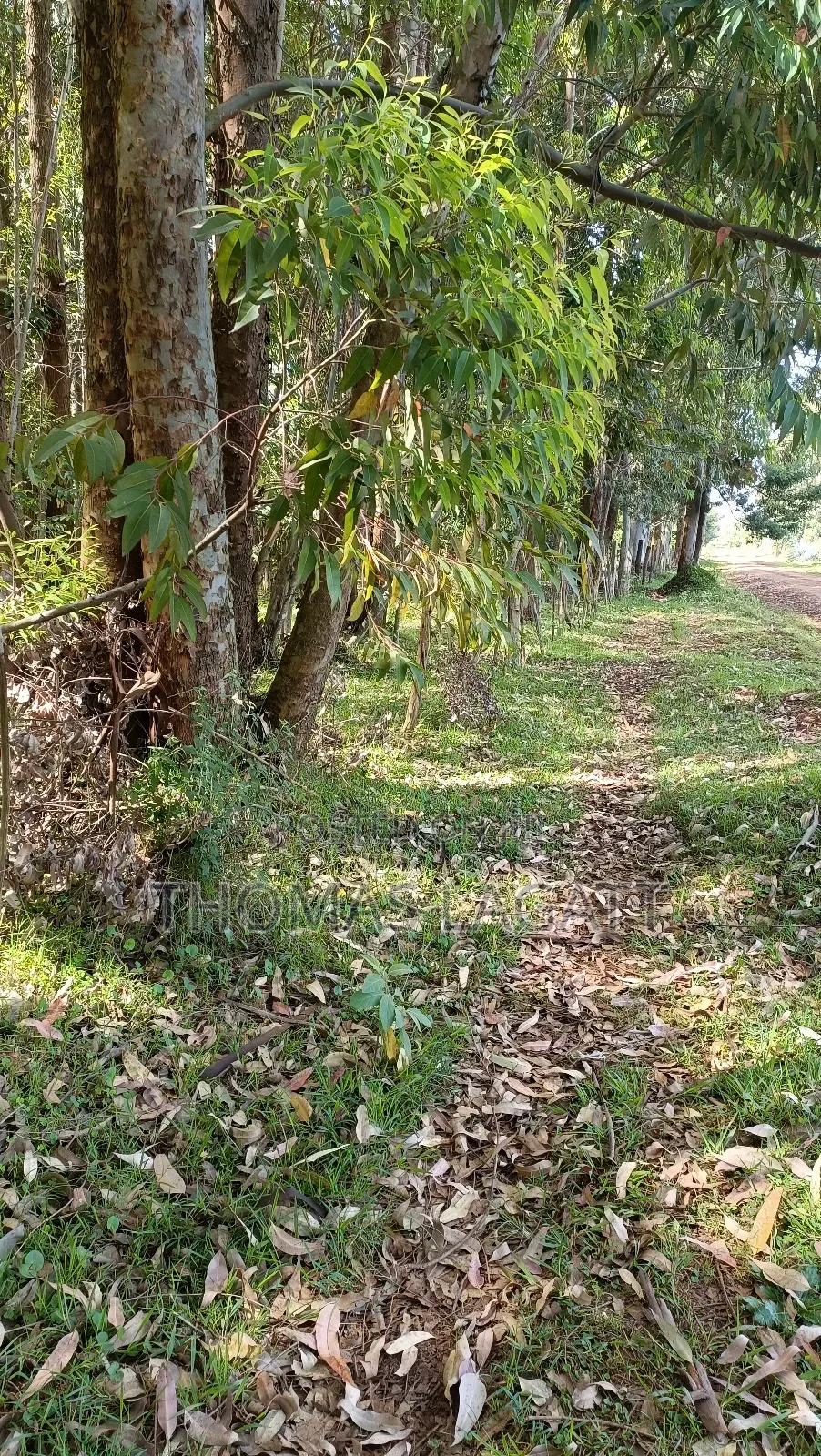 Eldoret Outspan 1⁄2 Acre Best for Residential Purposes in Wareng