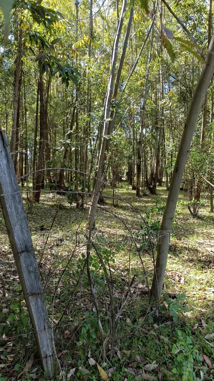 Eldoret Outspan 1⁄2 Acre Best for Residential Purposes in Wareng