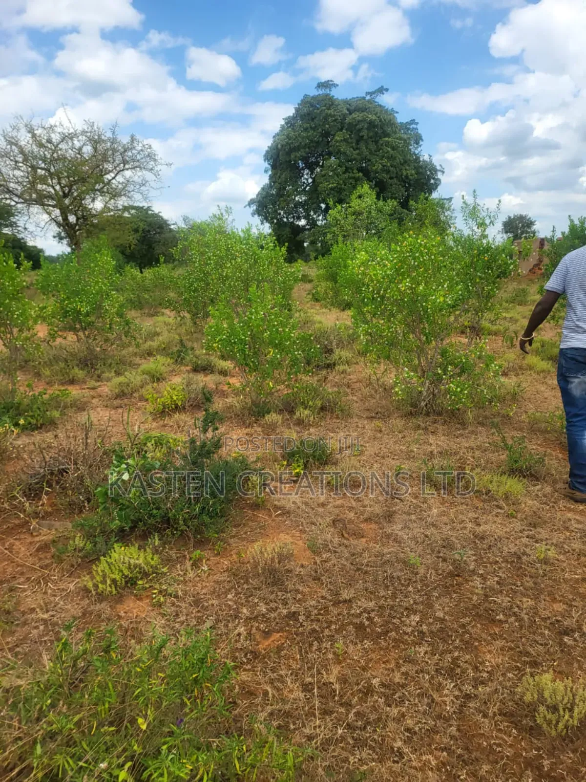 2 Acres Kithimani, Ready Title in Kithimani