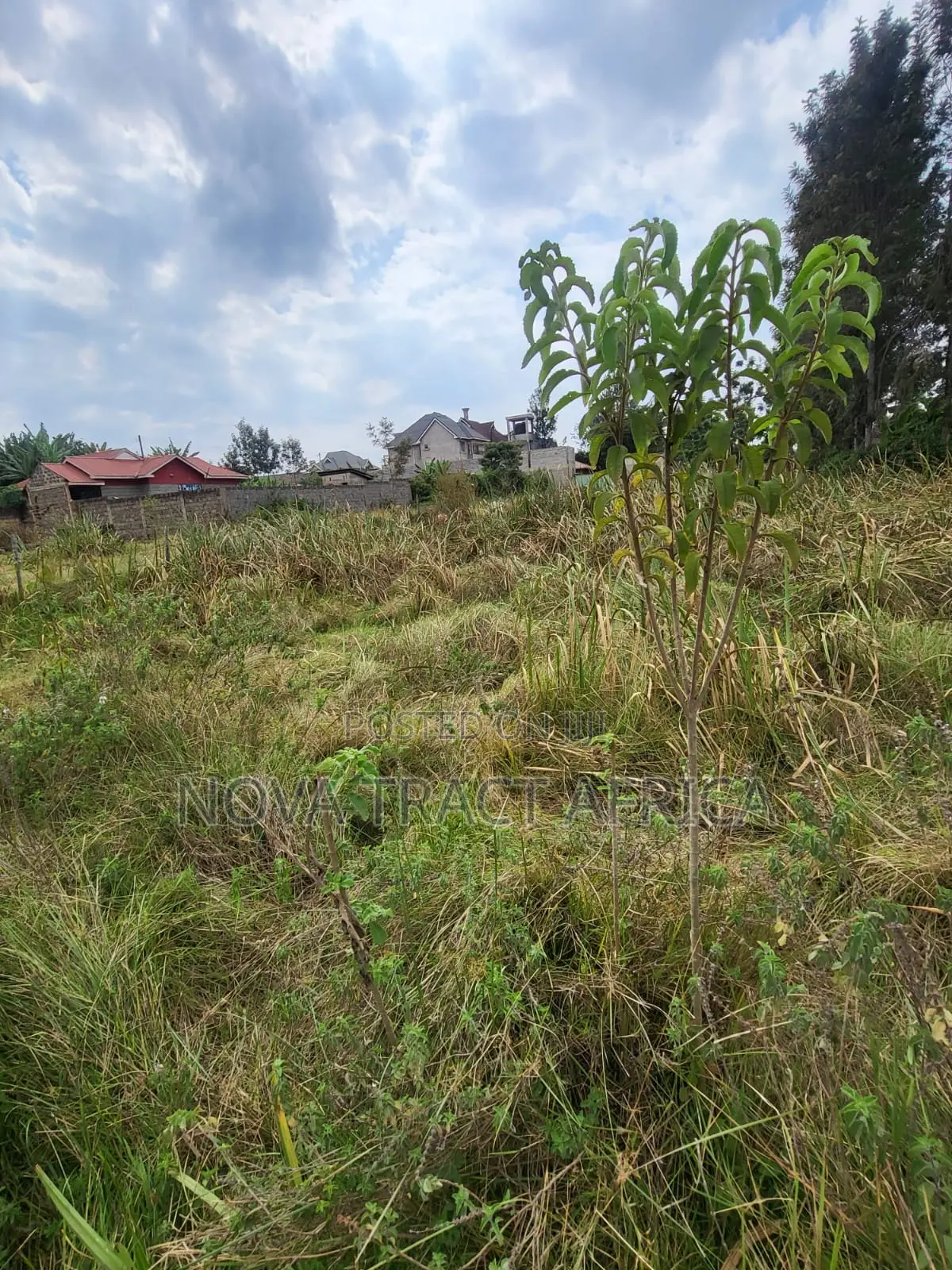 1/4 Acre Plots for Sale in Murera