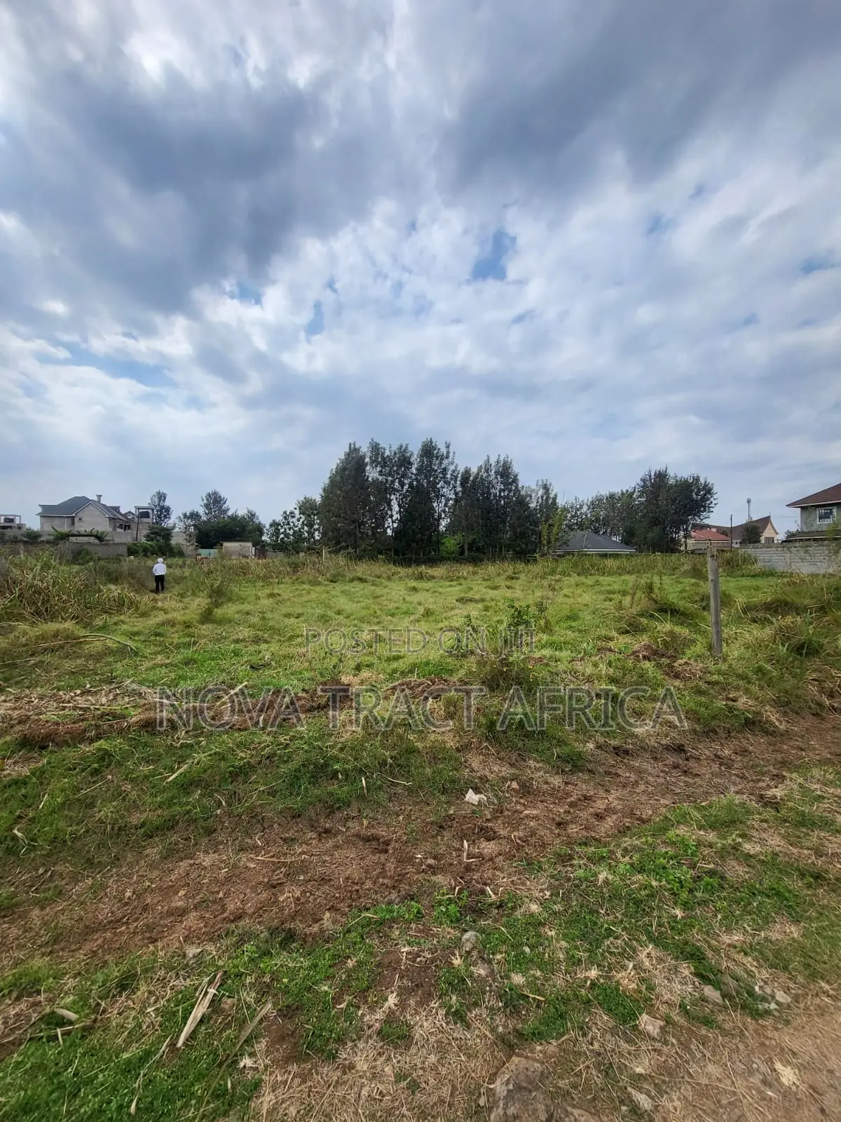 1/4 Acre Plots for Sale in Murera