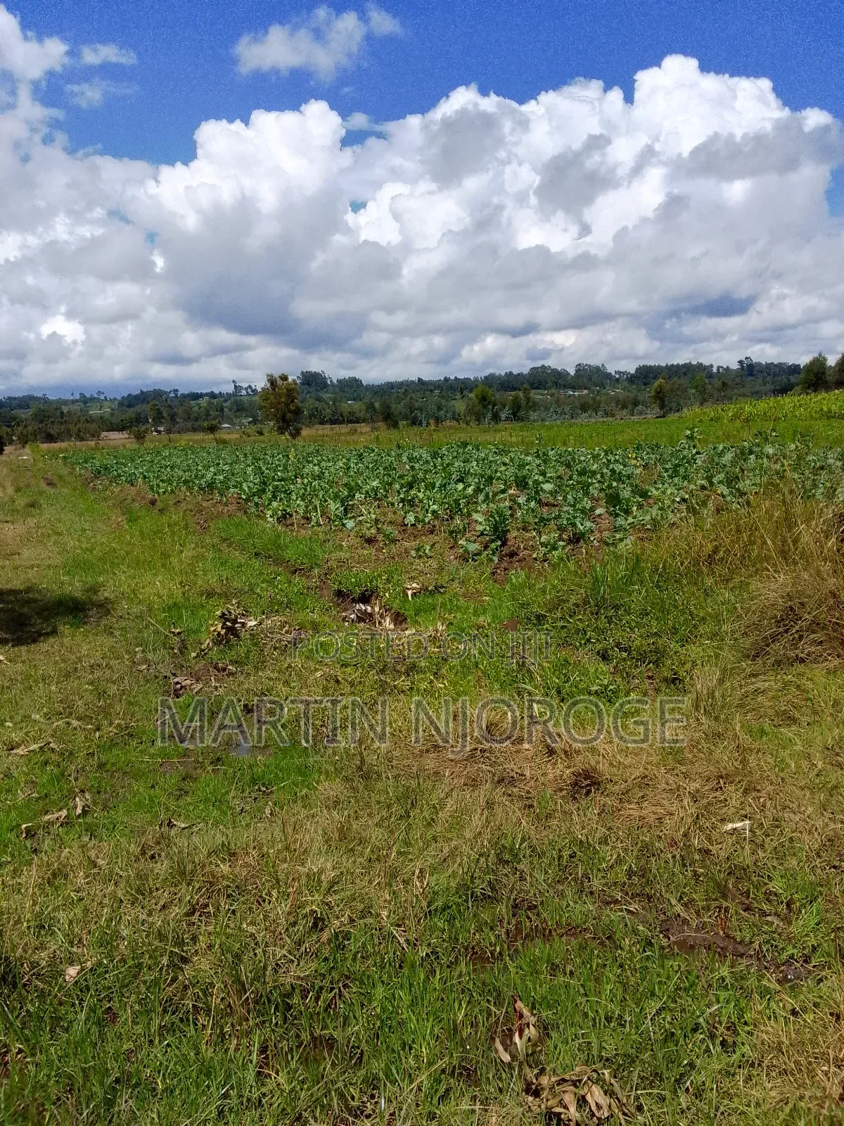 10 Acres Murungaru in Murungaru