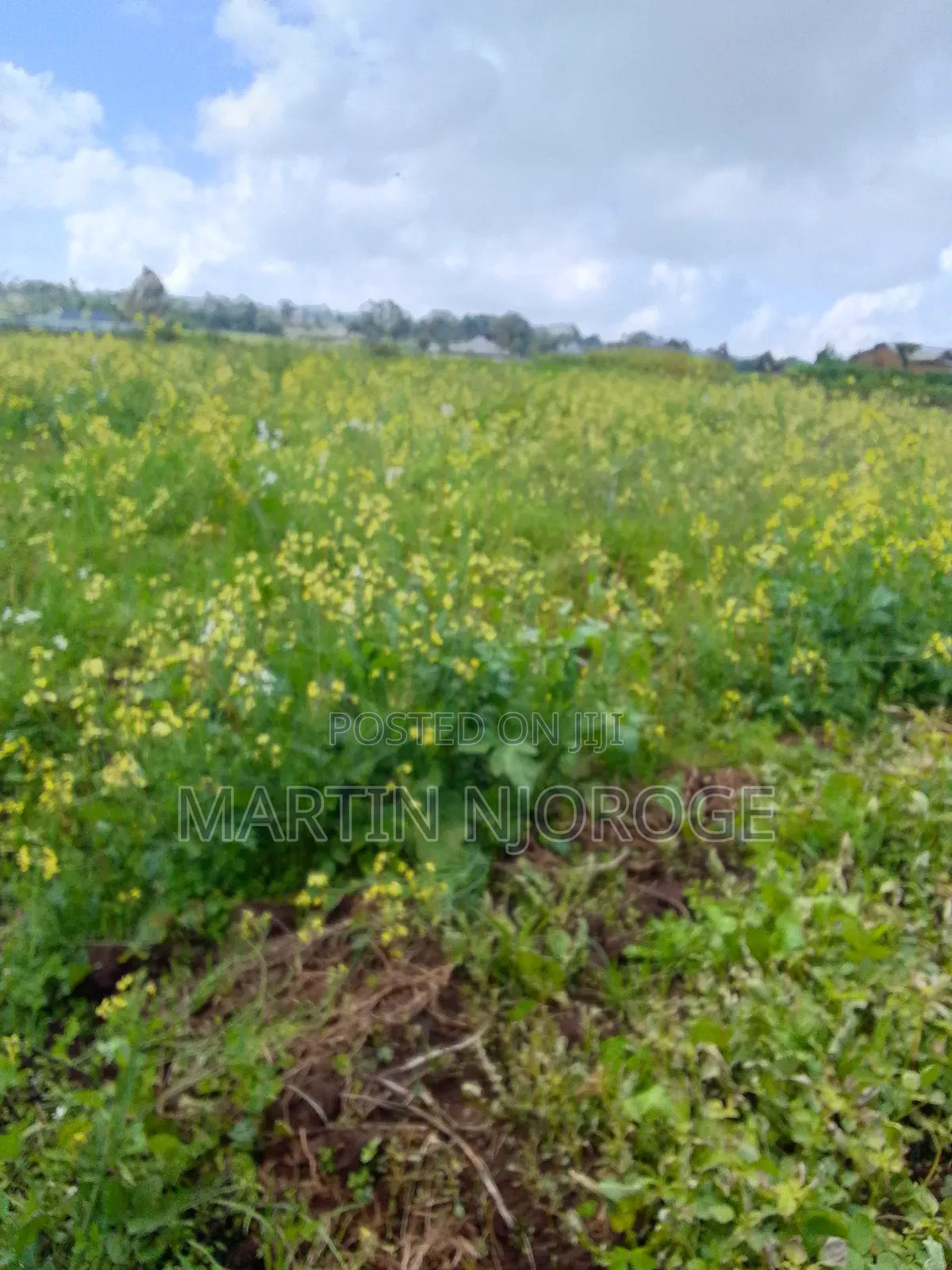 10 Acres Murungaru in Murungaru