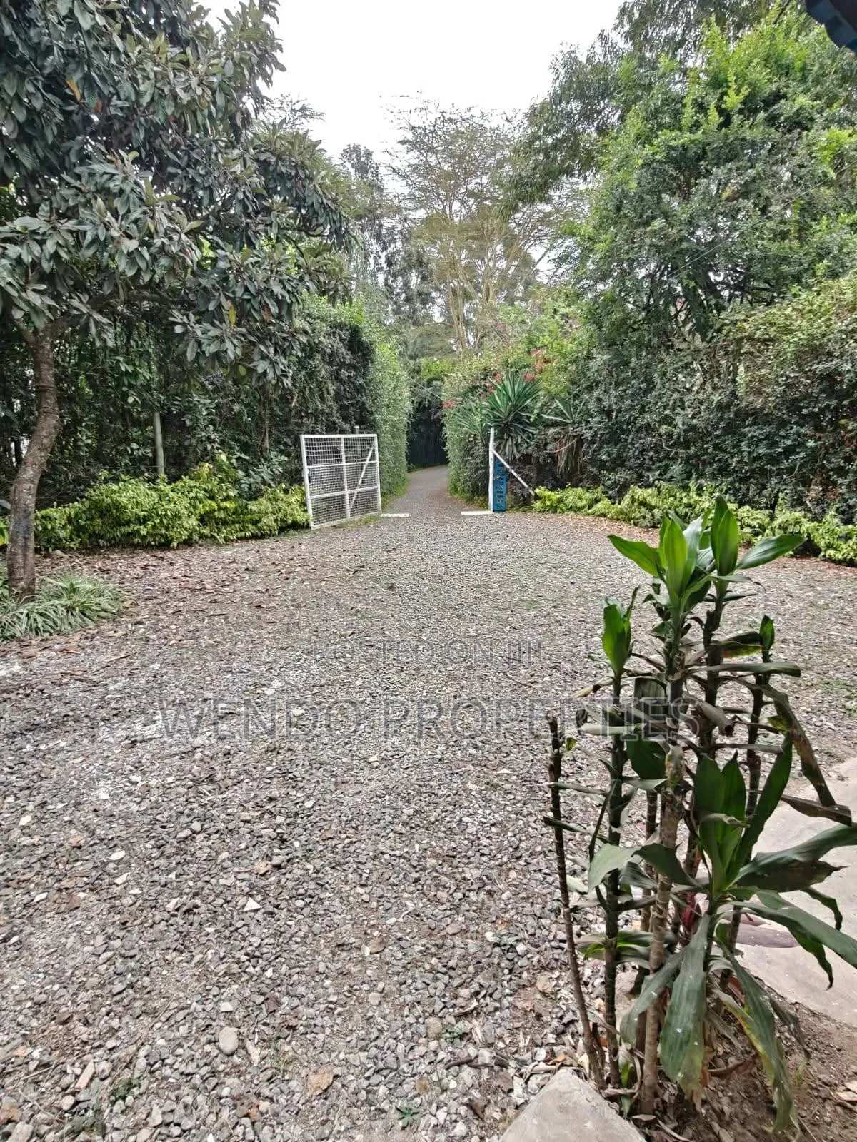 3bdrm Bungalow in Karen for rent in Karen