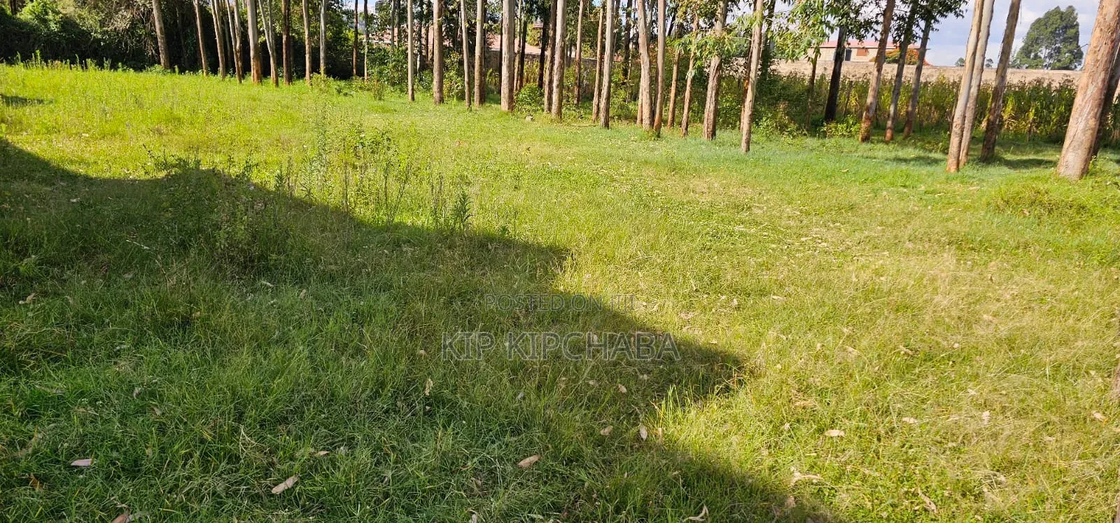 Commercial 1⁄4 Plot for Sale in Kimumu Eldoret in Kimumu