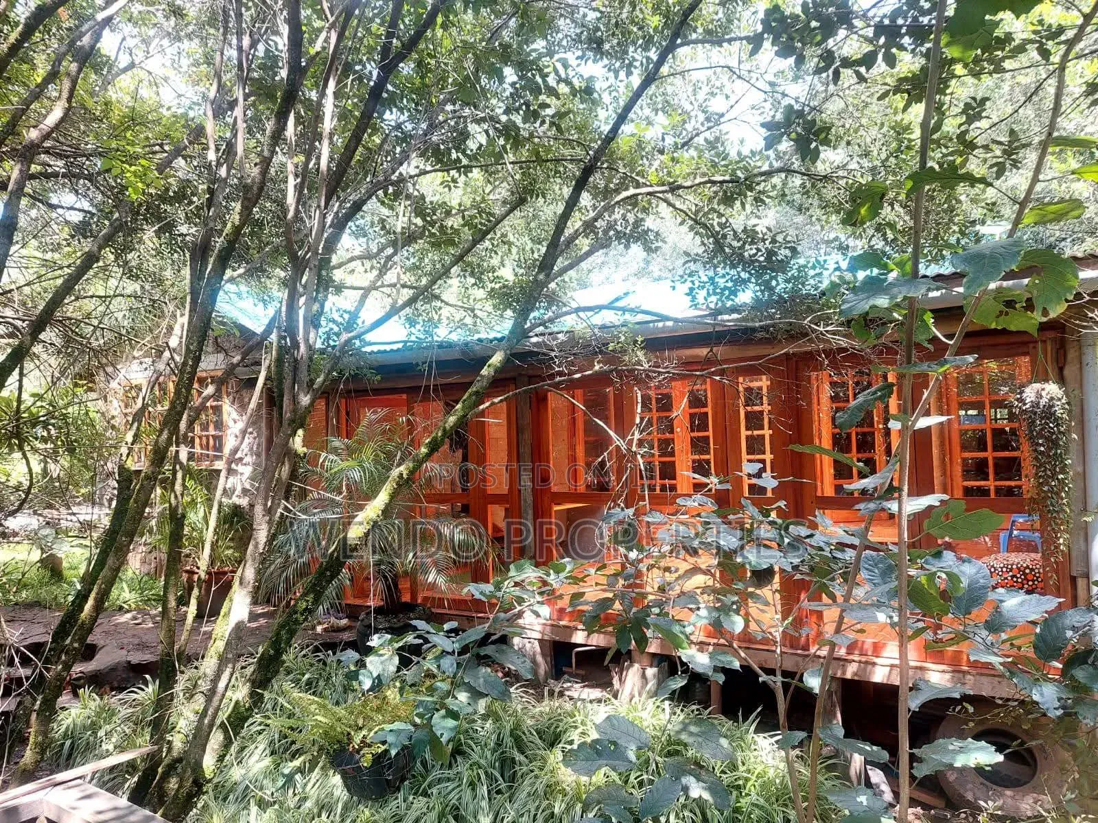 2bdrm Bungalow in Karen for rent in Karen