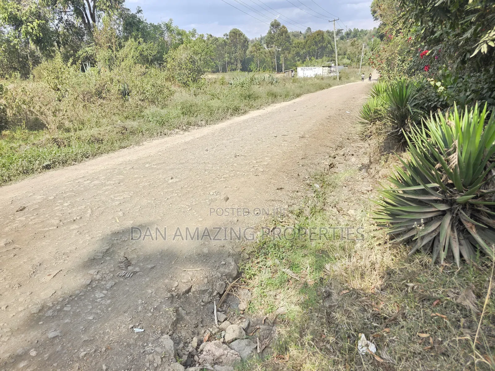 50 by 100 Pieces of Land in Matasia Memusi for Sale in Matasia