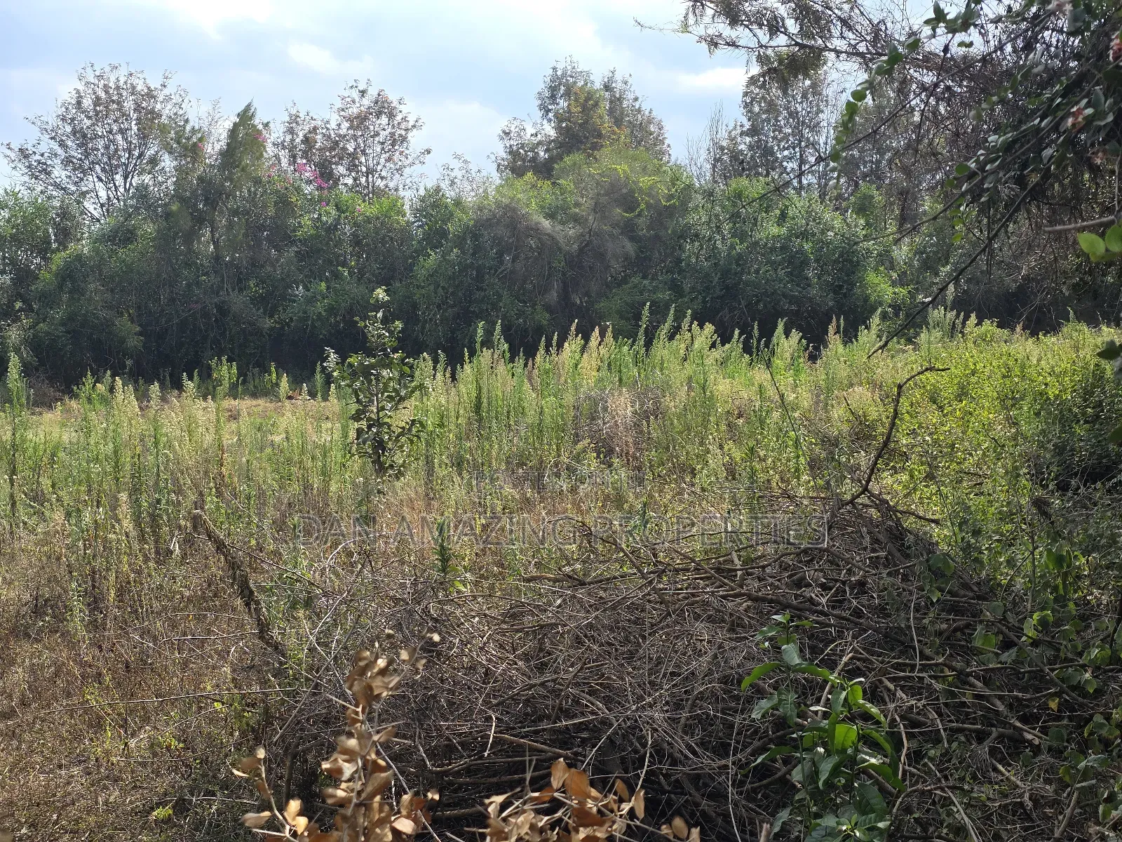 50 by 100 Pieces of Land in Matasia Memusi for Sale in Matasia