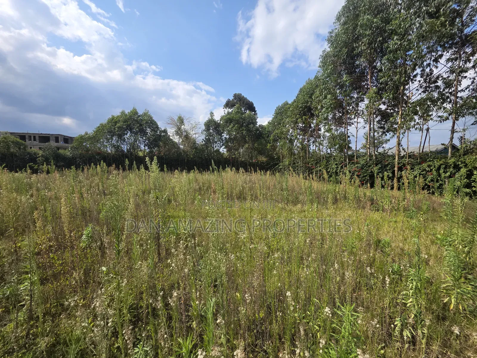 Half an Acre Land for Sale in Ngong Memusi Ideal for Residential in Matasia