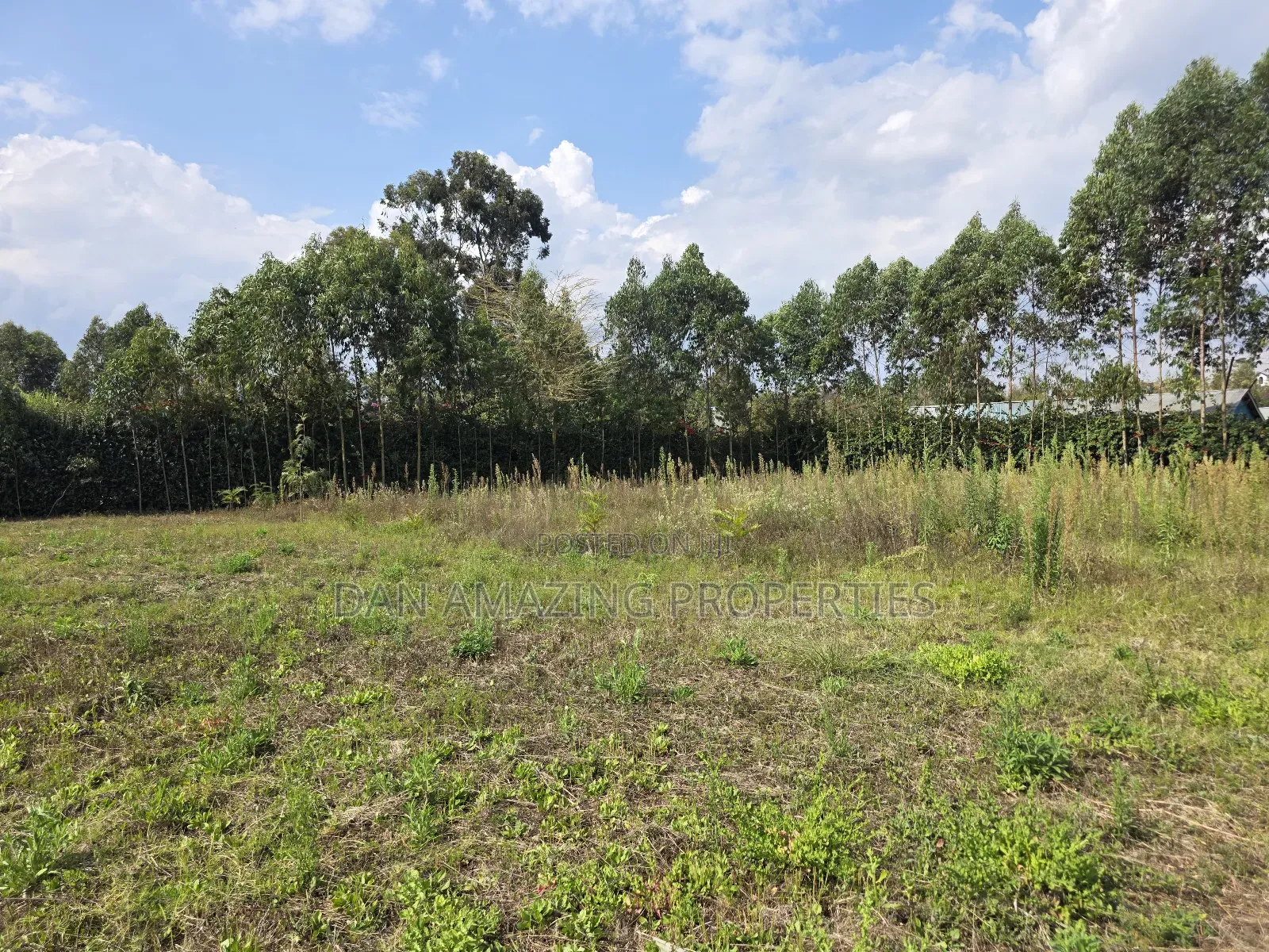 Quater Acre Memusi for Sale Ideal for Residential in Matasia