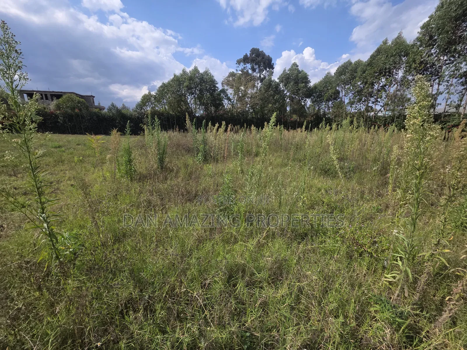 Quater Acre Memusi for Sale Ideal for Residential in Matasia