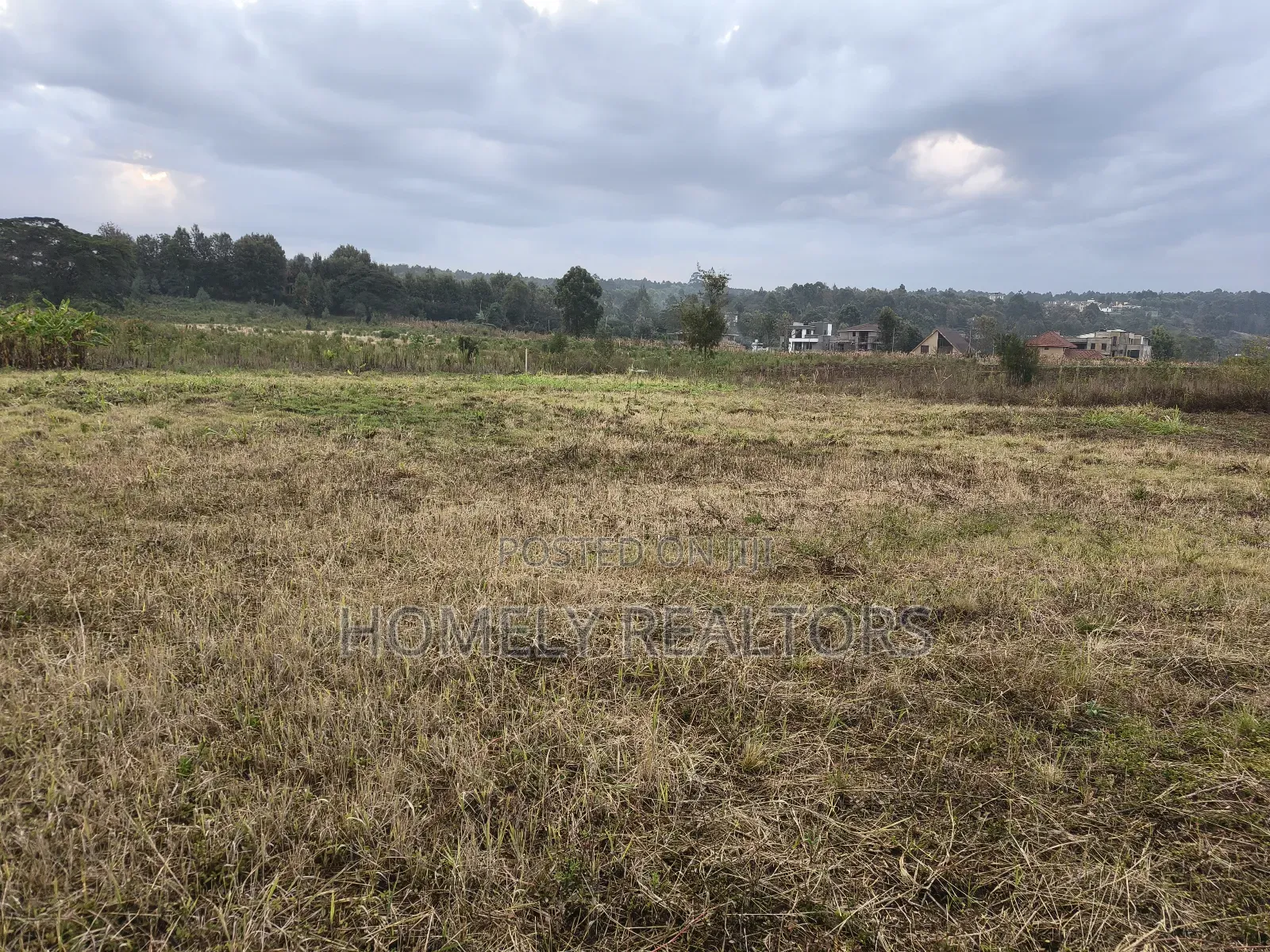 3.5 Acres of Red Soil Land on Sale in Kerarapon Drive, Ngong in Kerarapon
