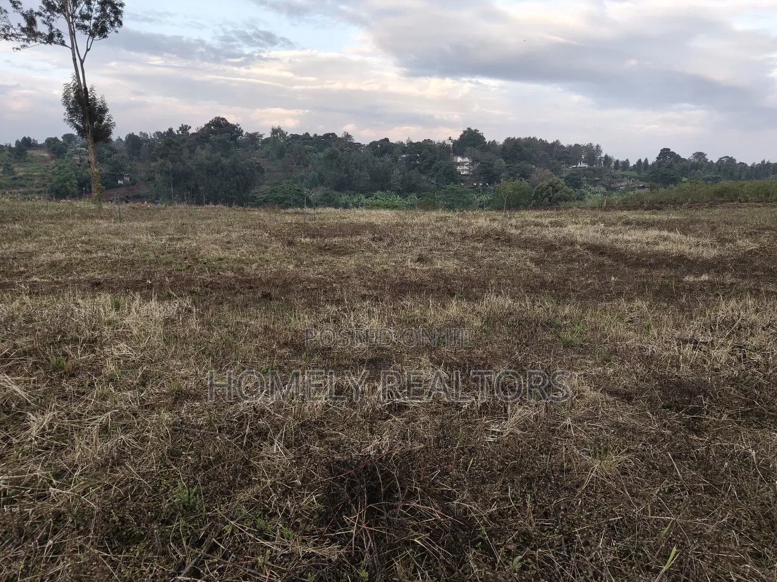 3.5 Acres of Red Soil Land on Sale in Kerarapon Drive, Ngong in Kerarapon