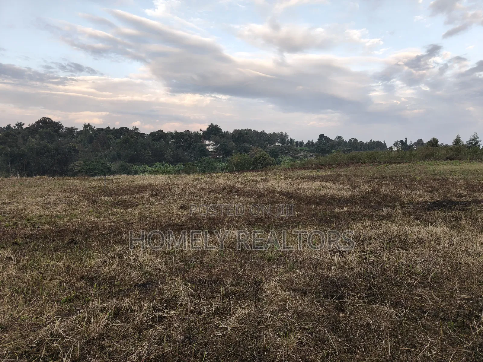 3.5 Acres of Red Soil Land on Sale in Kerarapon Drive, Ngong in Kerarapon