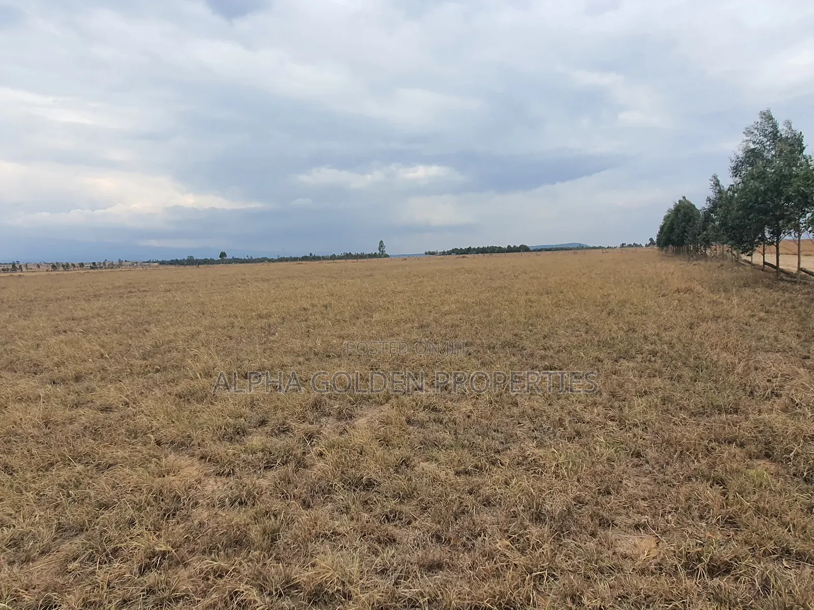 4 Acres in Narumoru in Nanyuki