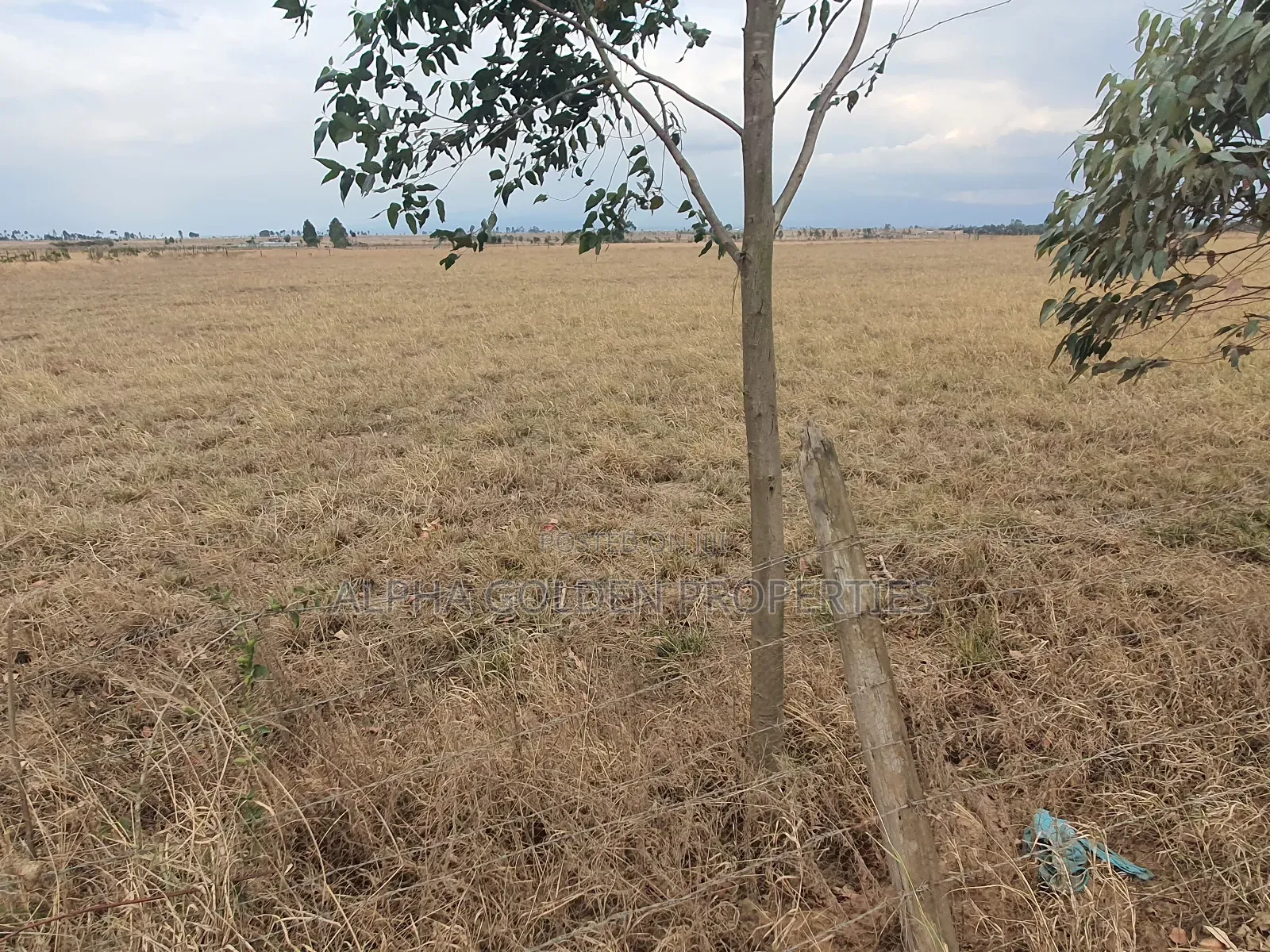 4 Acres in Narumoru in Nanyuki