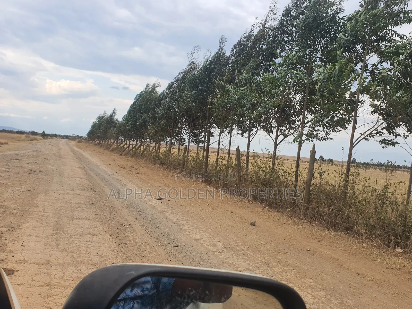 4 Acres in Narumoru in Nanyuki