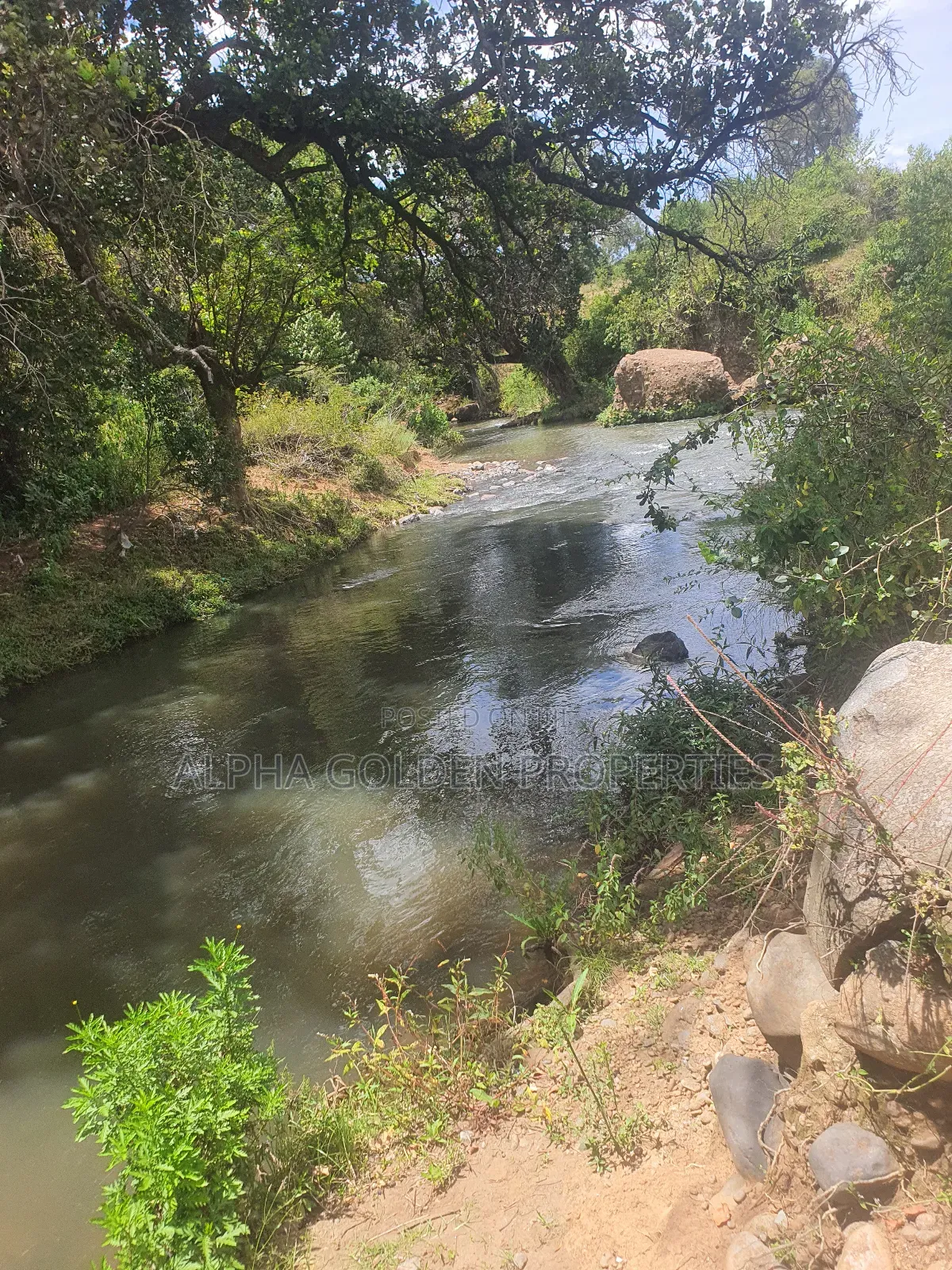 2 Acres in Nyariginu Fronting River in Nanyuki