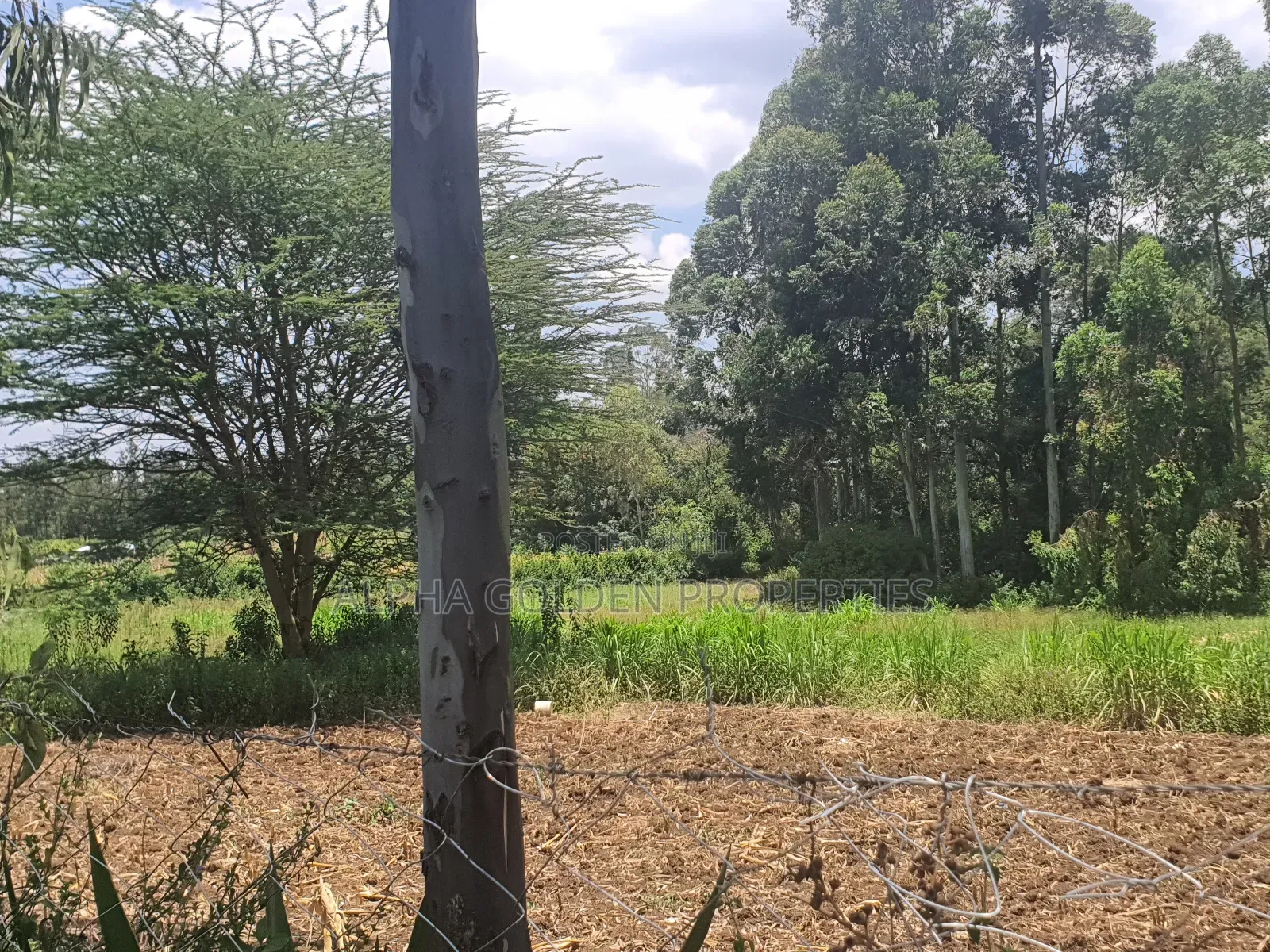 2 Acres in Nyariginu Fronting River in Nanyuki