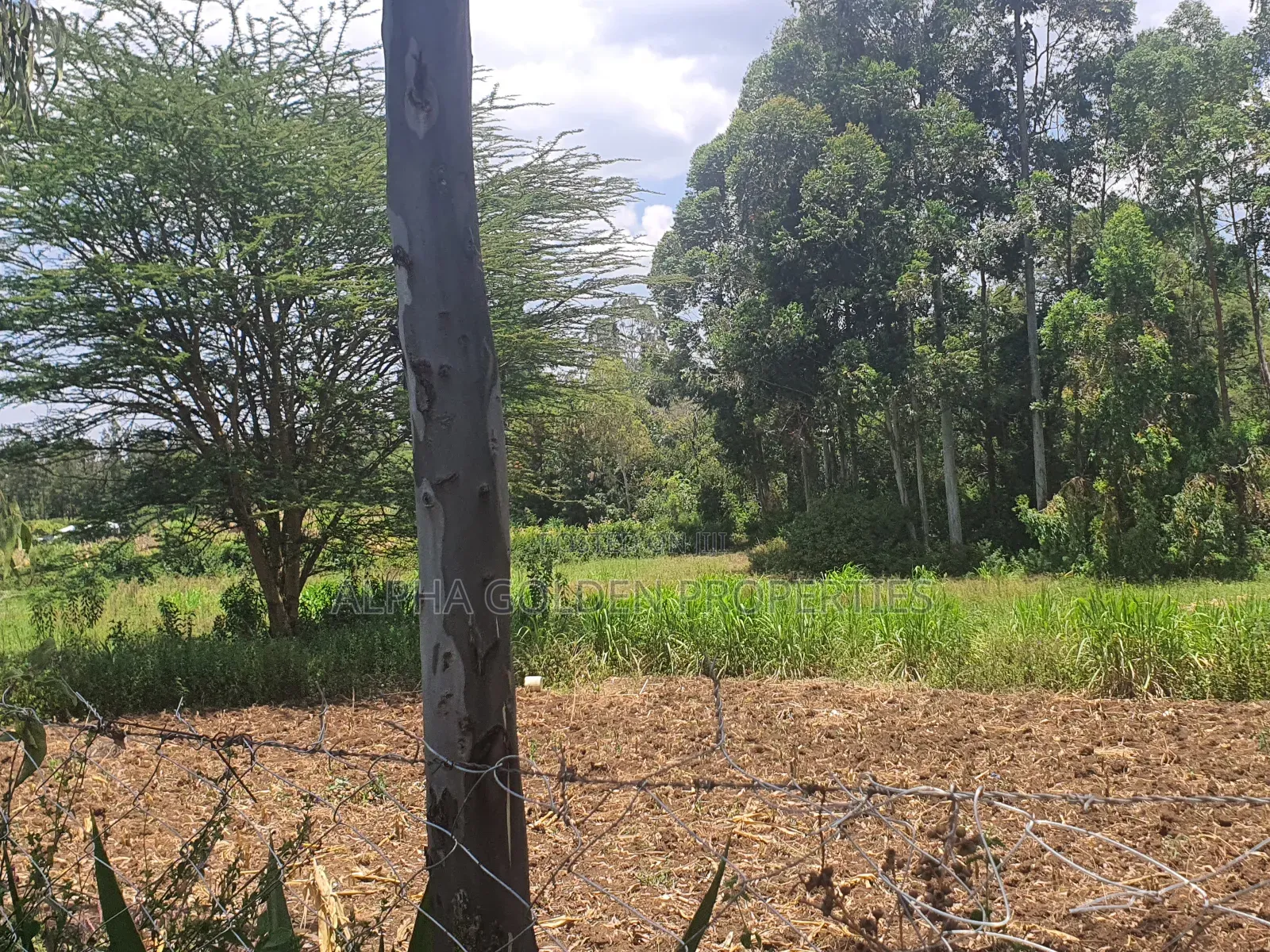 2 Acres in Nyariginu Fronting River in Nanyuki