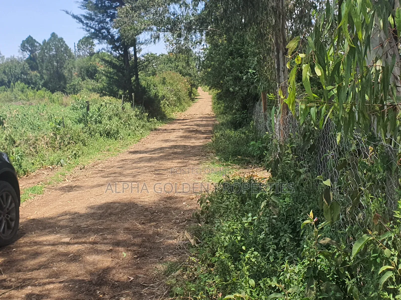 2 Acres in Nyariginu Fronting River in Nanyuki