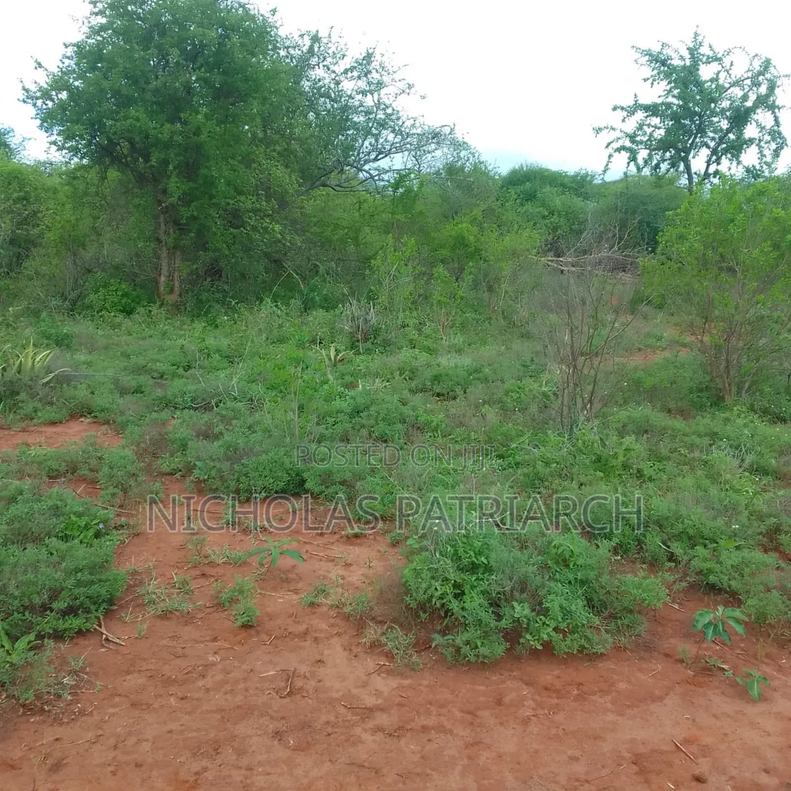 40 Acres at Kithimani Machakos Touching Yatta Farrow at 2.5m Per Acre in Kithimani