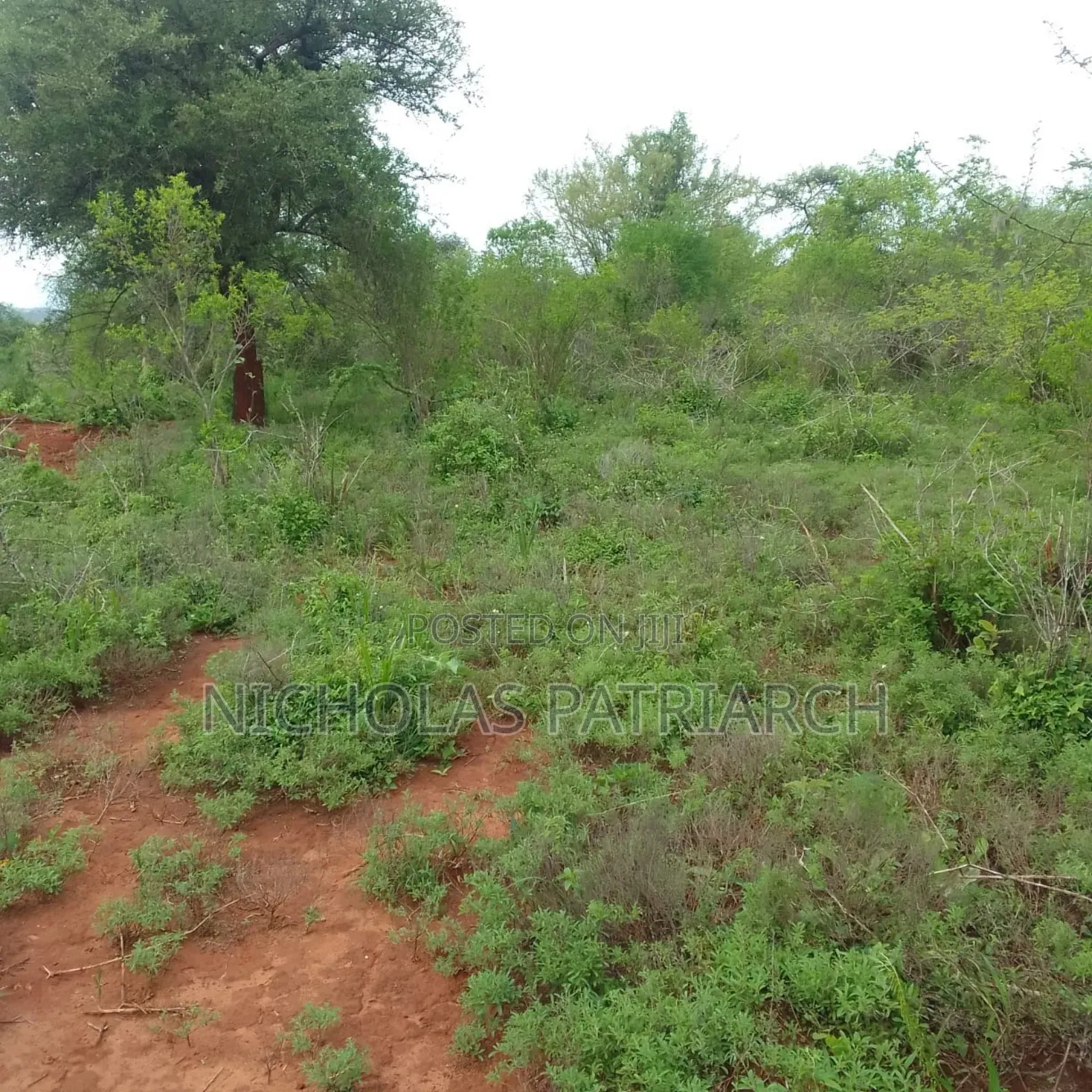 40 Acres at Kithimani Machakos Touching Yatta Farrow at 2.5m Per Acre in Kithimani