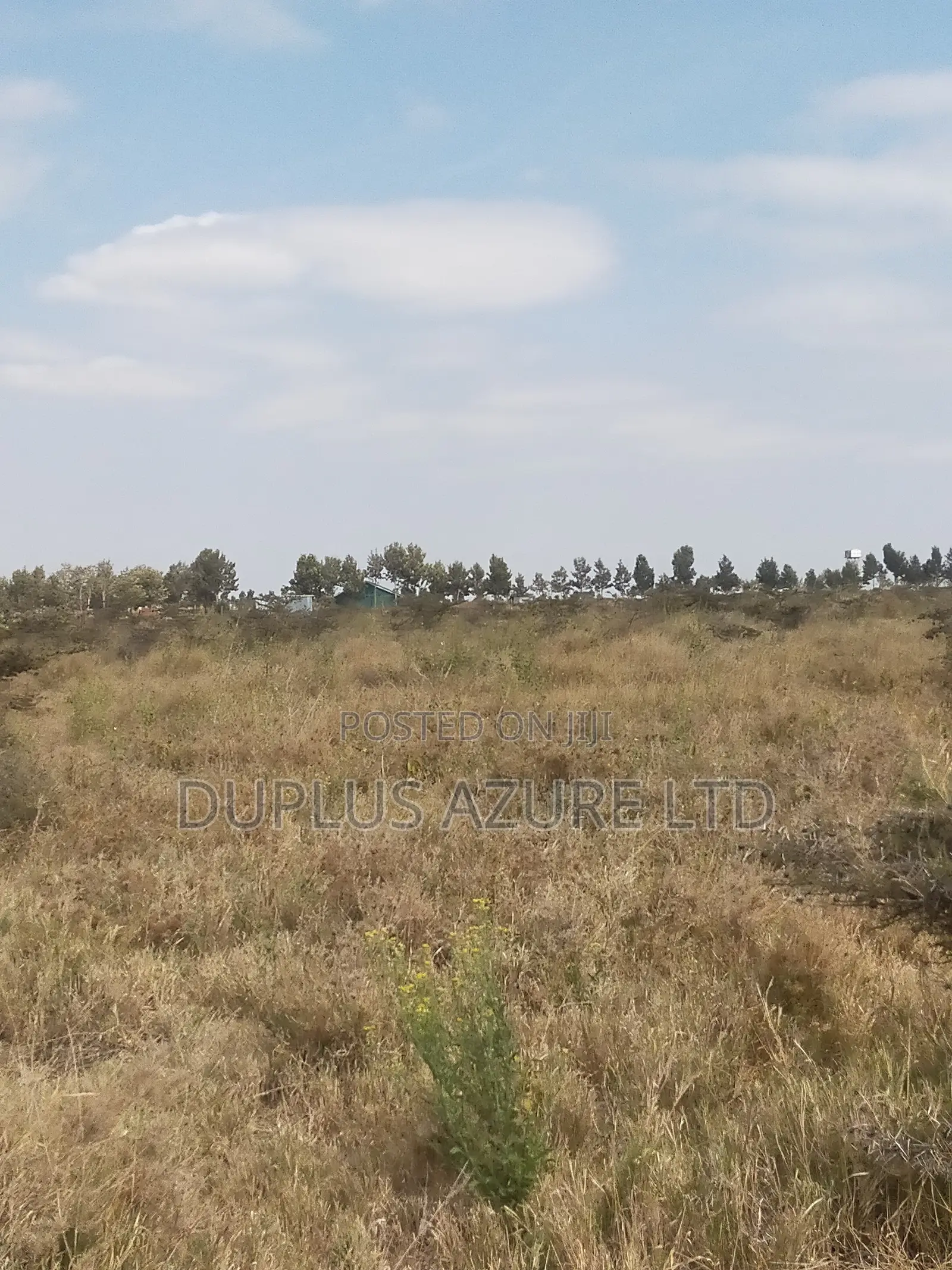 4 Acres in Kajiado-Ildamat in Ildamat