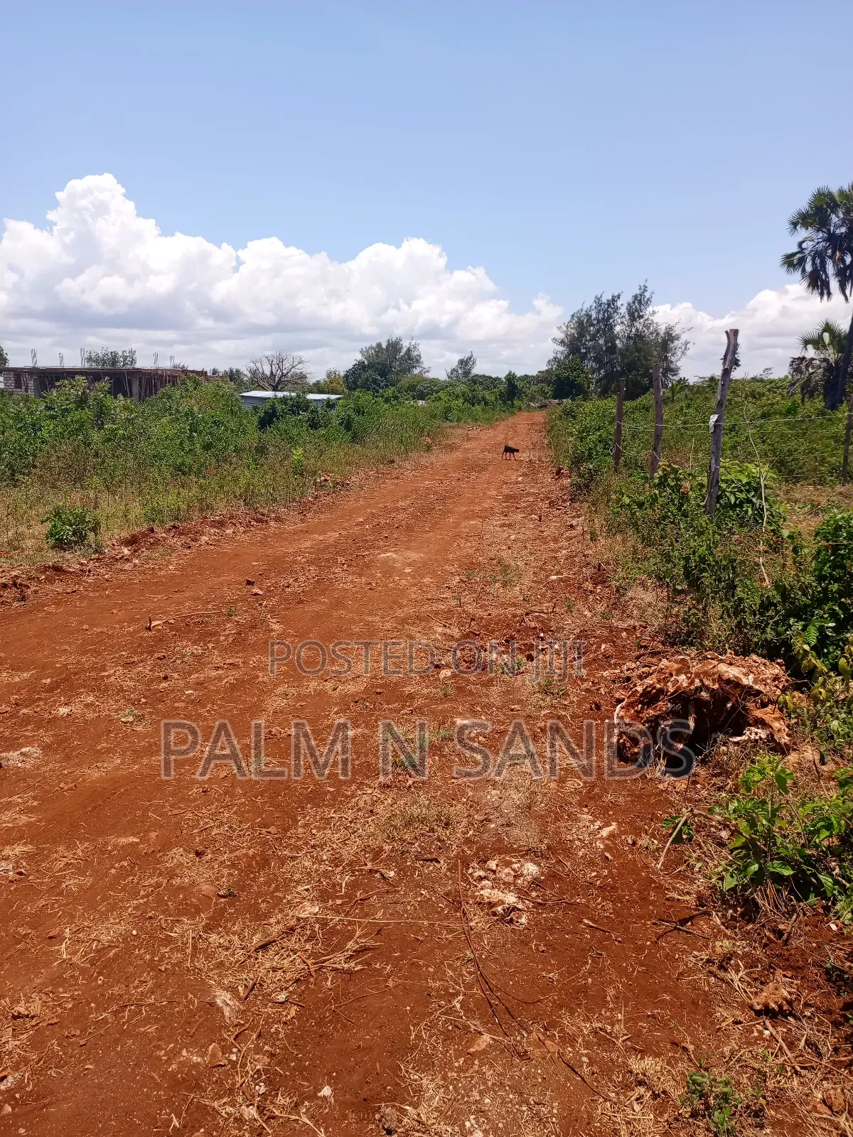 2.25 Acres Next to Pazurina Diani on Sale.L in Diani