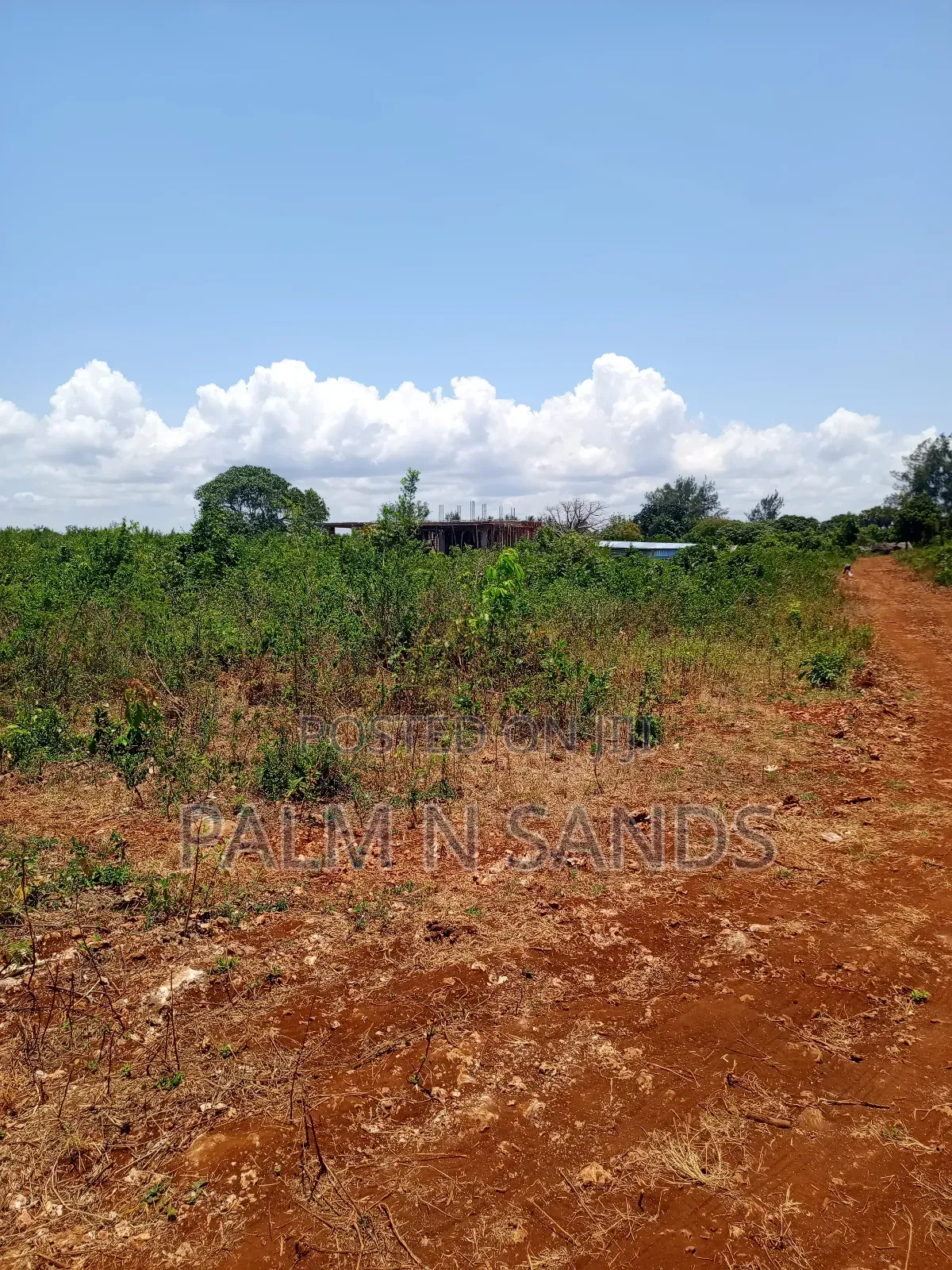 2.25 Acres Next to Pazurina Diani on Sale.L in Diani