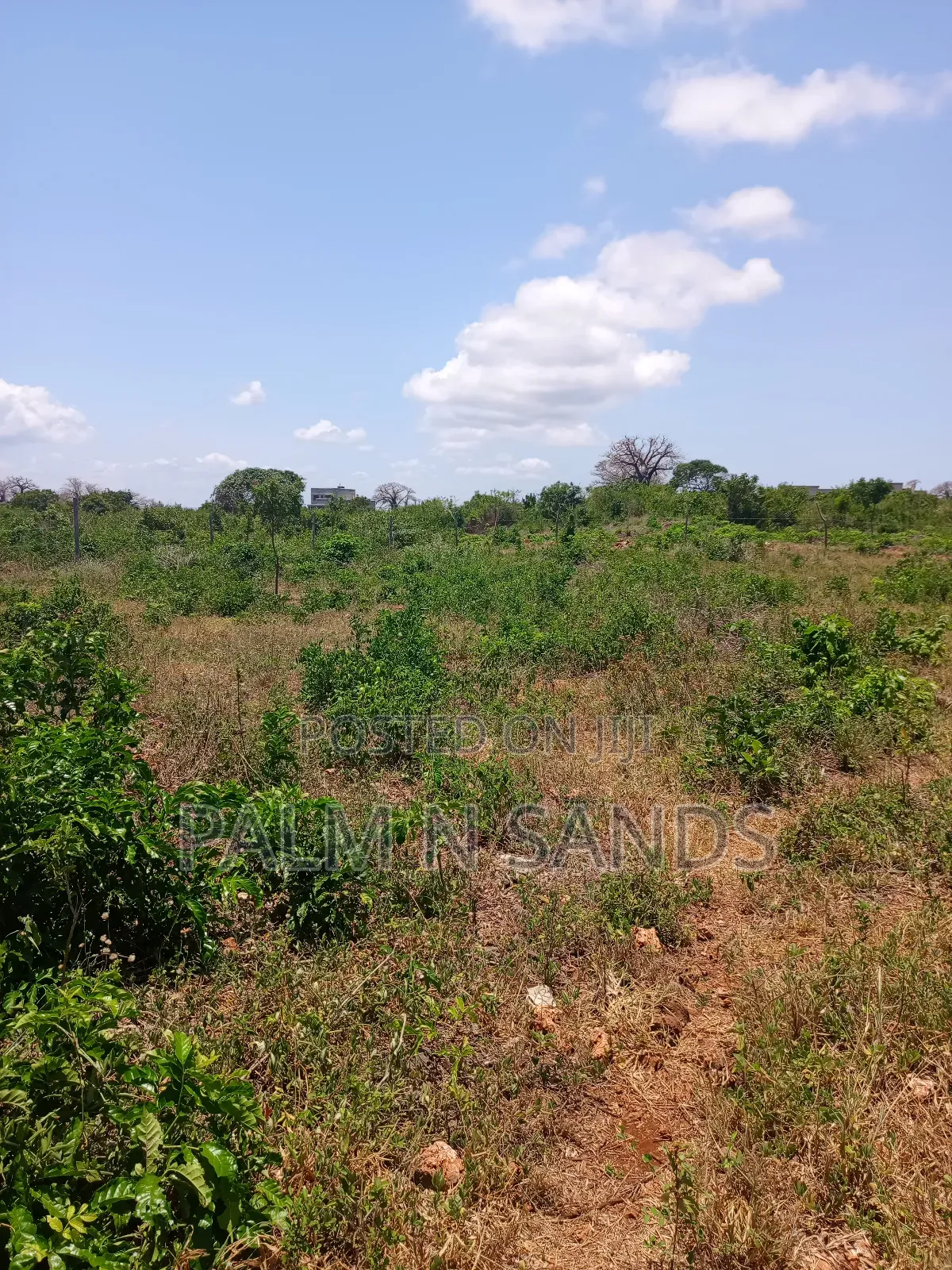 2.25 Acres Next to Pazurina Diani on Sale.L in Diani