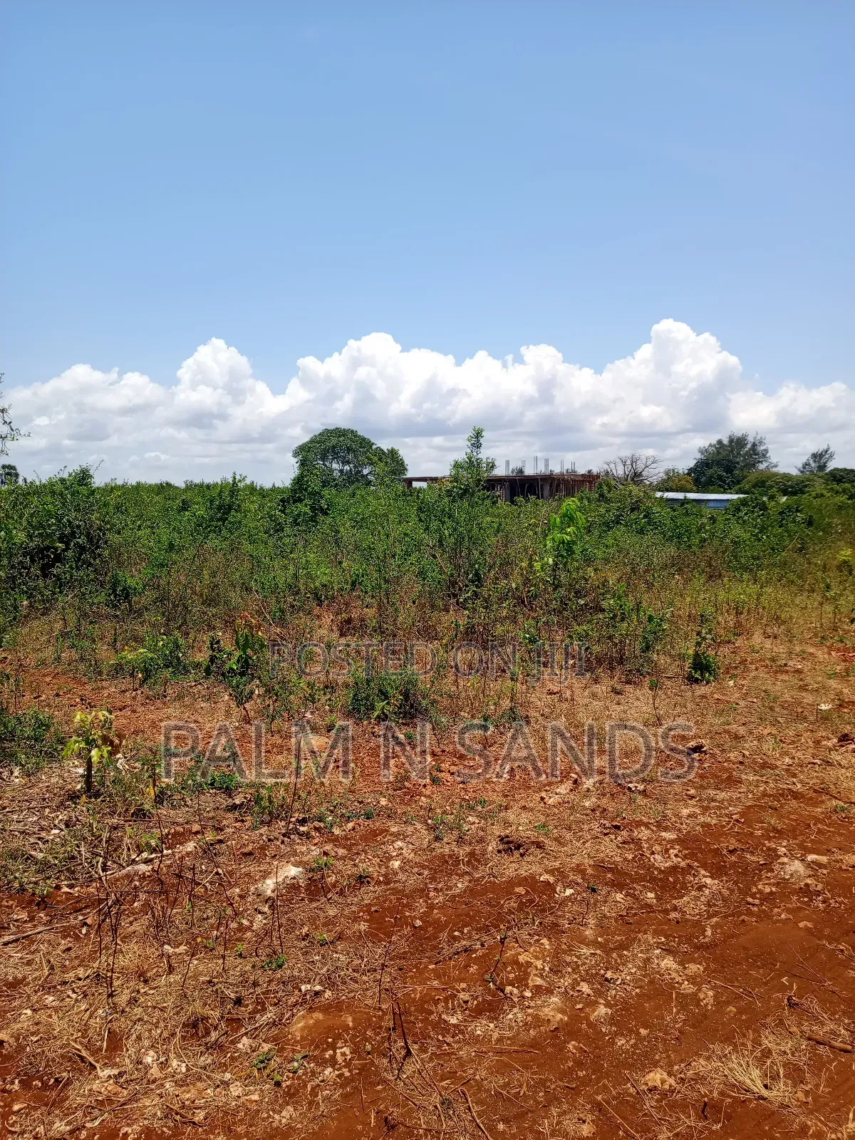 2.25 Acres Next to Pazurina Diani on Sale.L in Diani