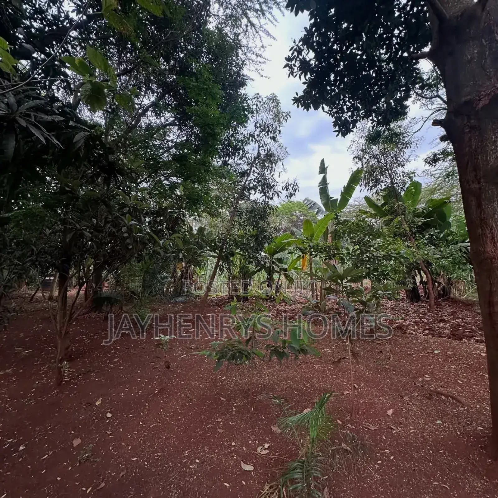 Half Acre Plot for Sale in Njathaini Road,Off Kiambu Rd at Kes 30m in Kiambu / Kiambu