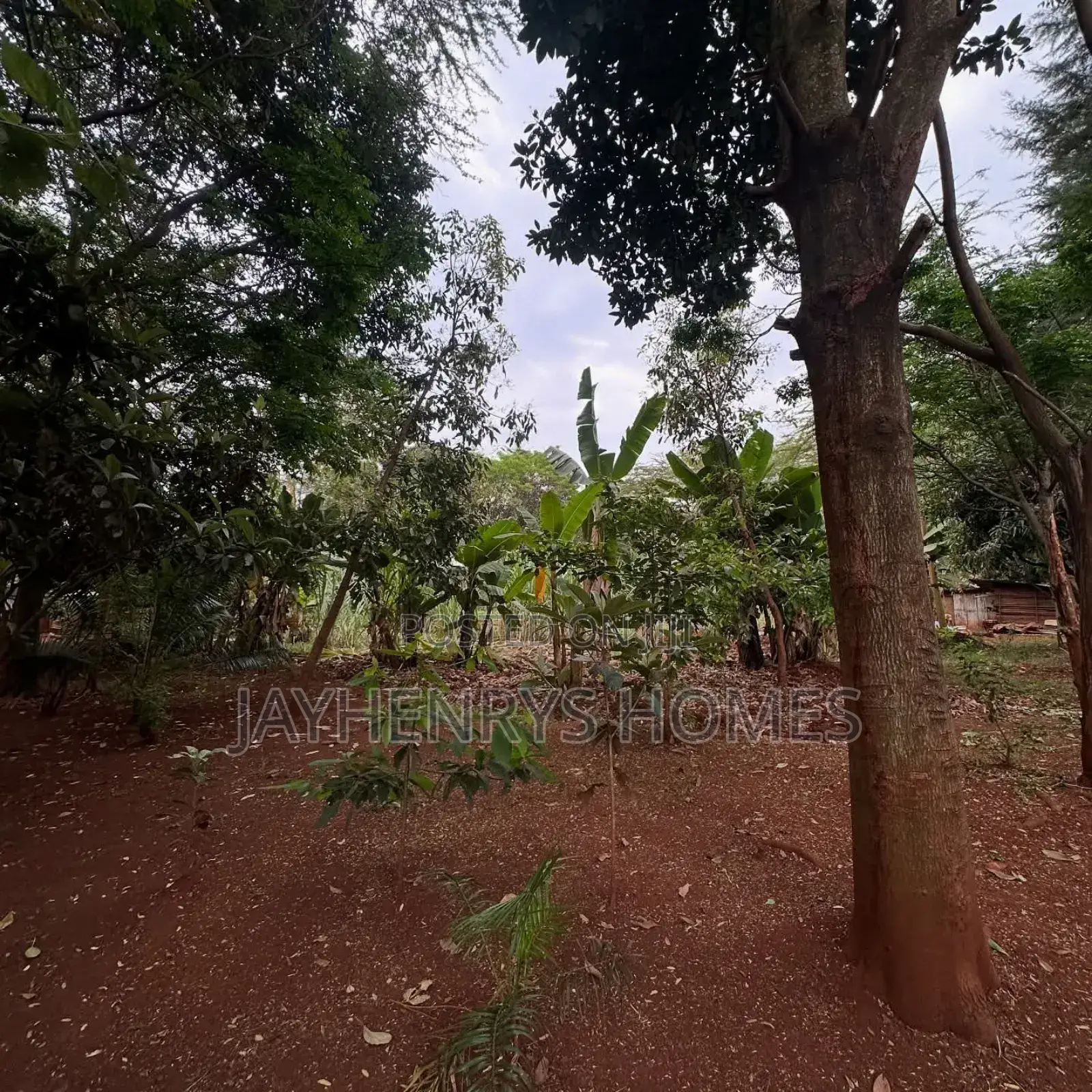Half Acre Plot for Sale in Njathaini Road,Off Kiambu Rd at Kes 30m in Kiambu / Kiambu
