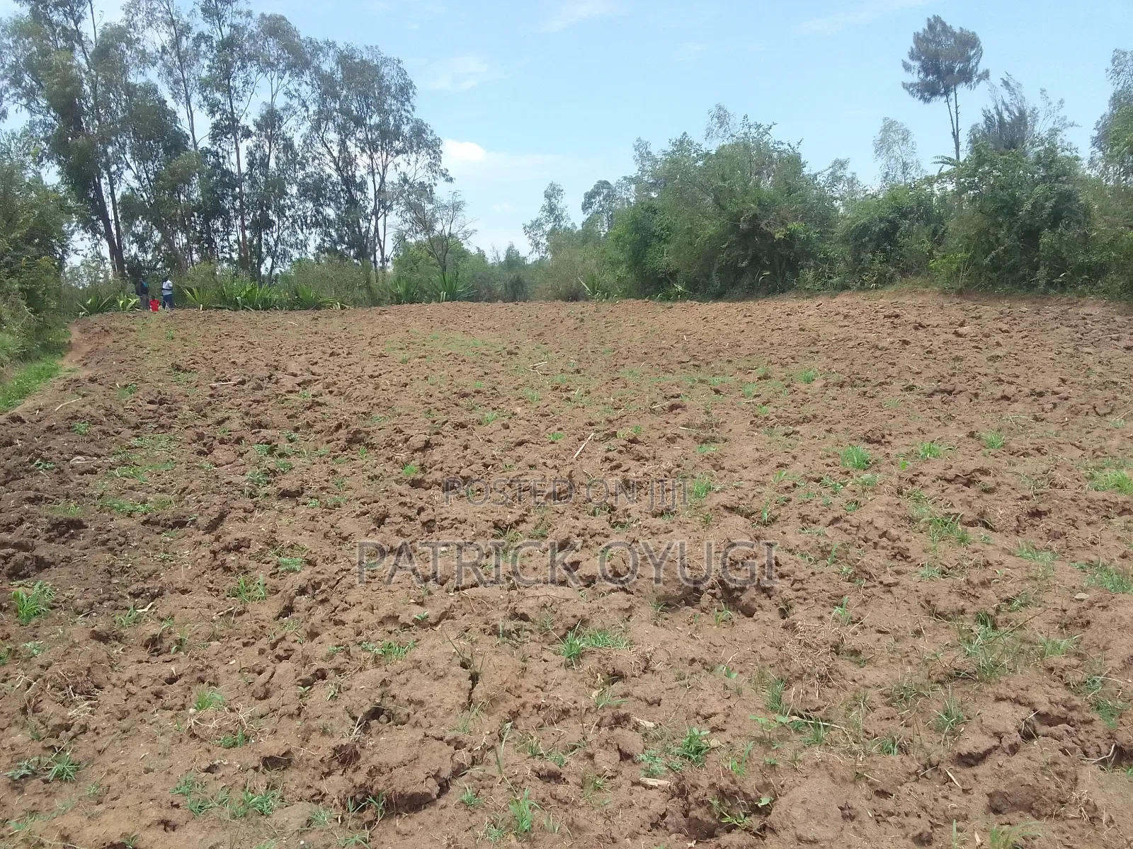 0.2ha for Sale in Kisumu Ojola Area in Ojolla